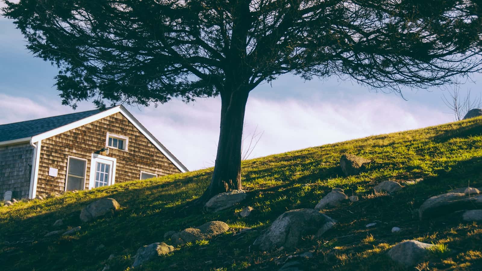What to Do If a Tree Branch Is Hanging Over Your Roof