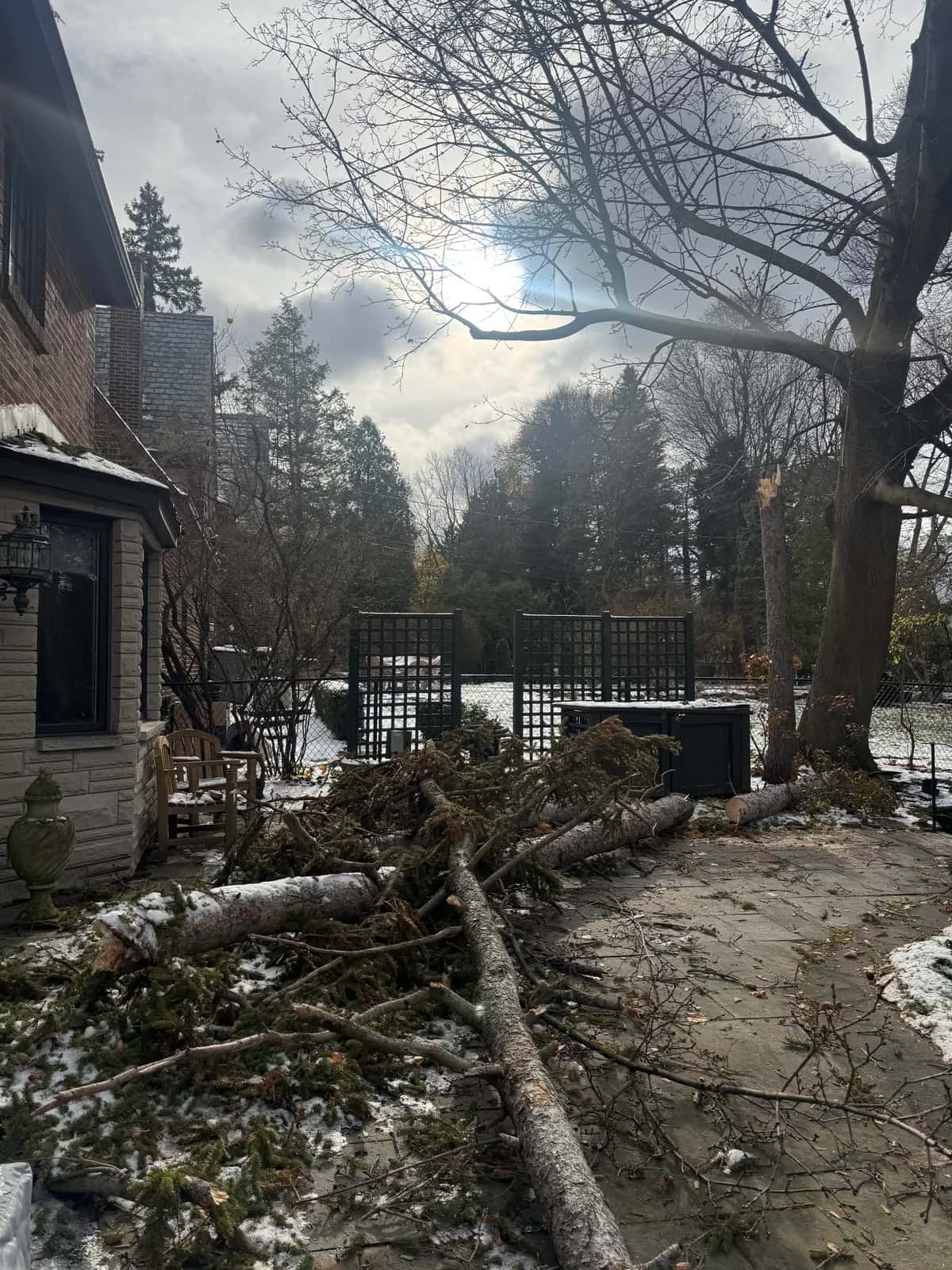 Lot clearing Buffalo NY