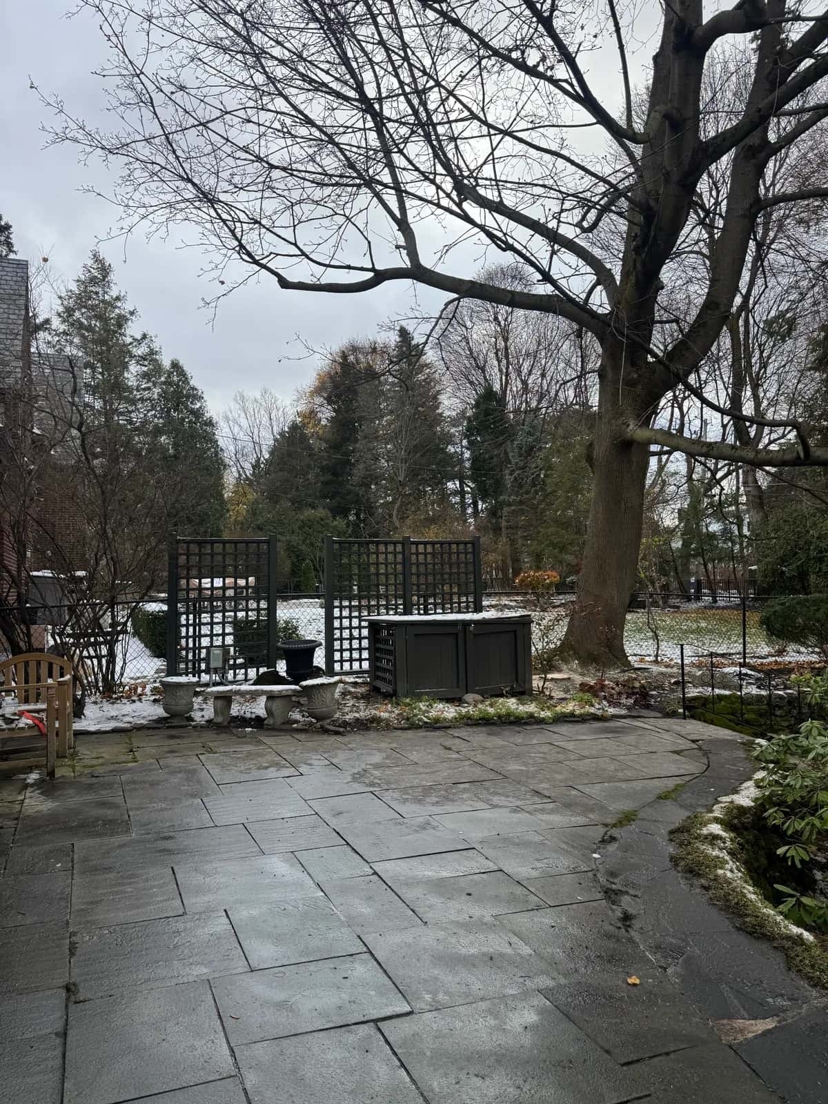 Stump grinding Buffalo NY service