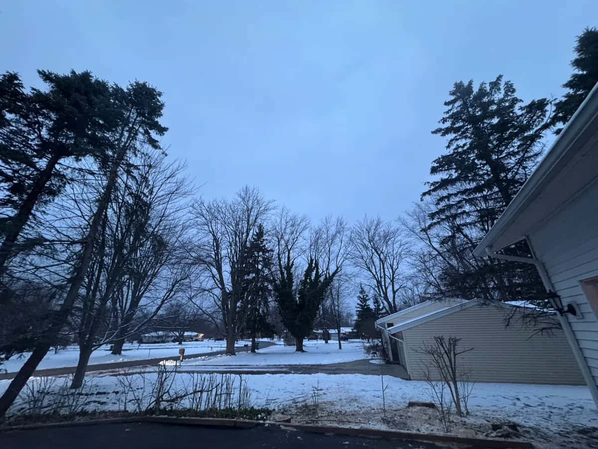 Tree Removal Tight Access project in Buffalo NY