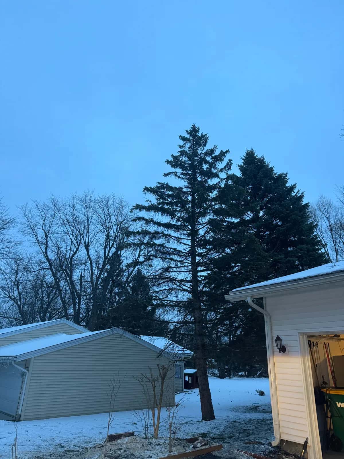 Tree Removal West Seneca Ny.webp project in Buffalo NY