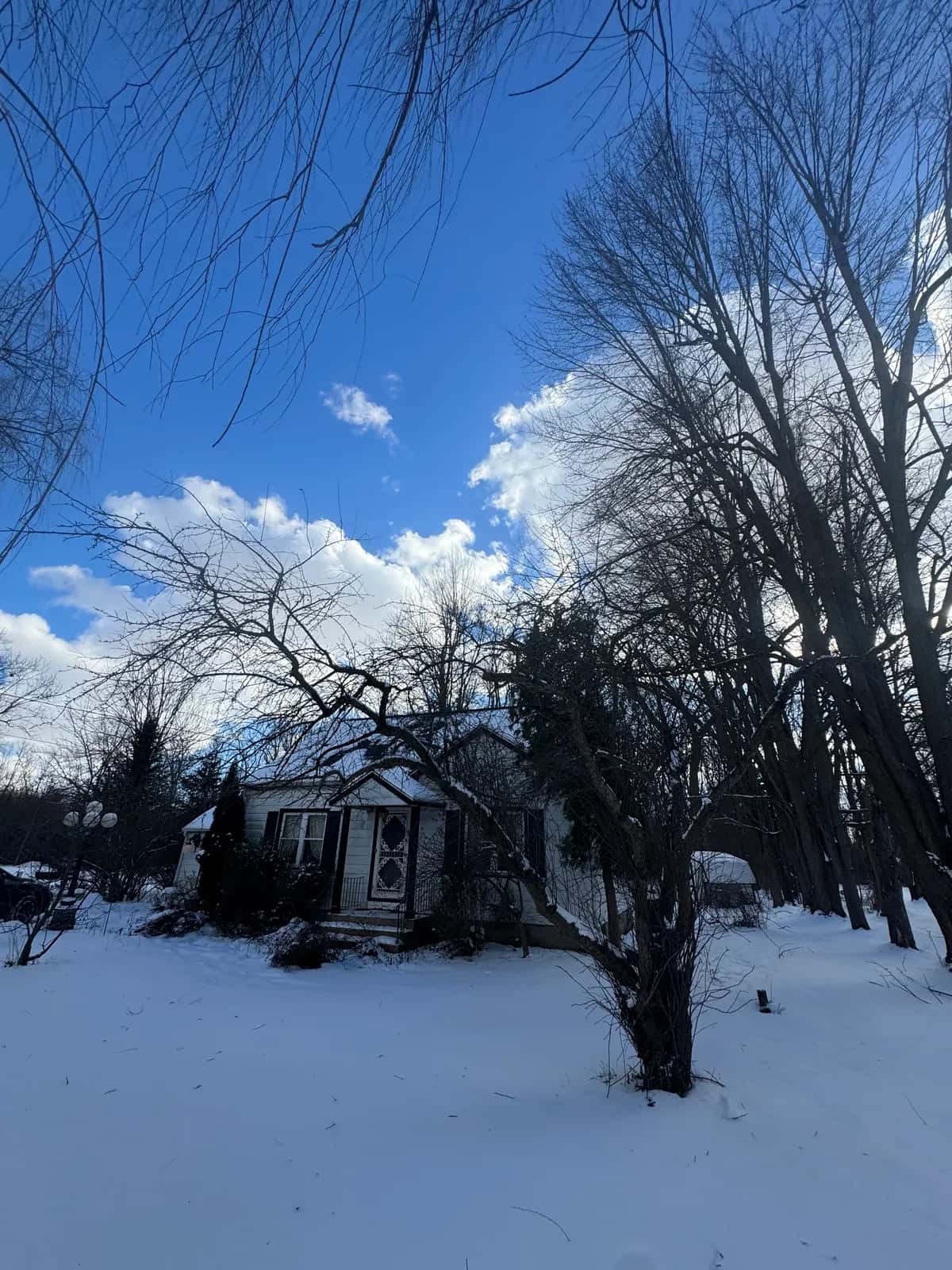 Tree Service Crew Job Site project in Buffalo NY