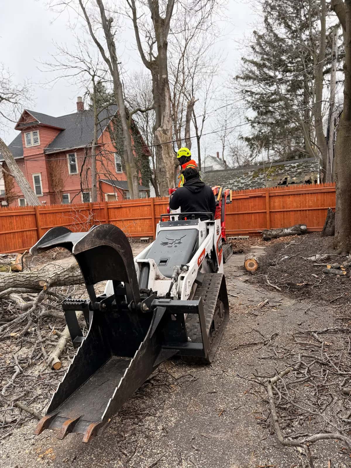 Tree Trimming Pruning project in Buffalo NY