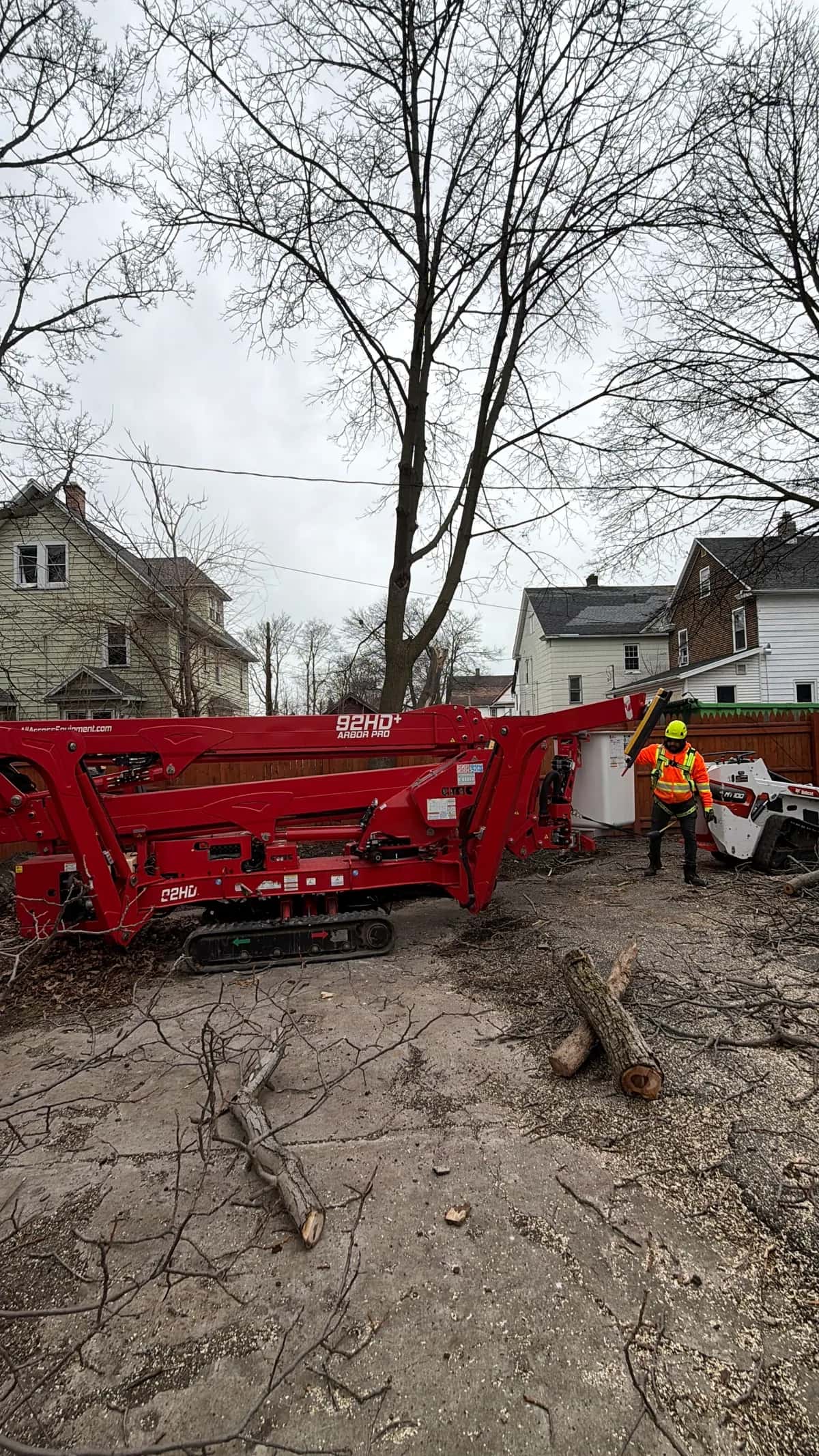 Tree Trimming Safety project in Buffalo NY