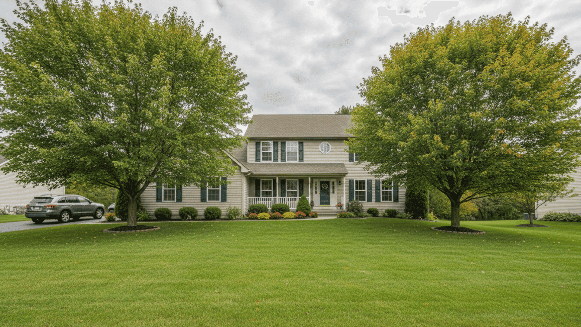 Tree service in Amherst NY