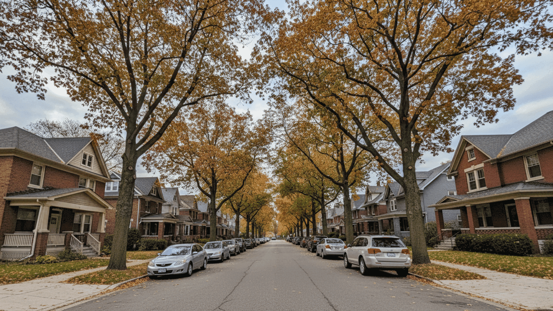 Tree service in Buffalo NY
