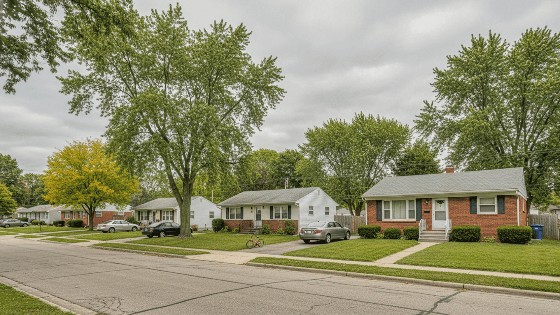 Tree service in Cheektowaga NY