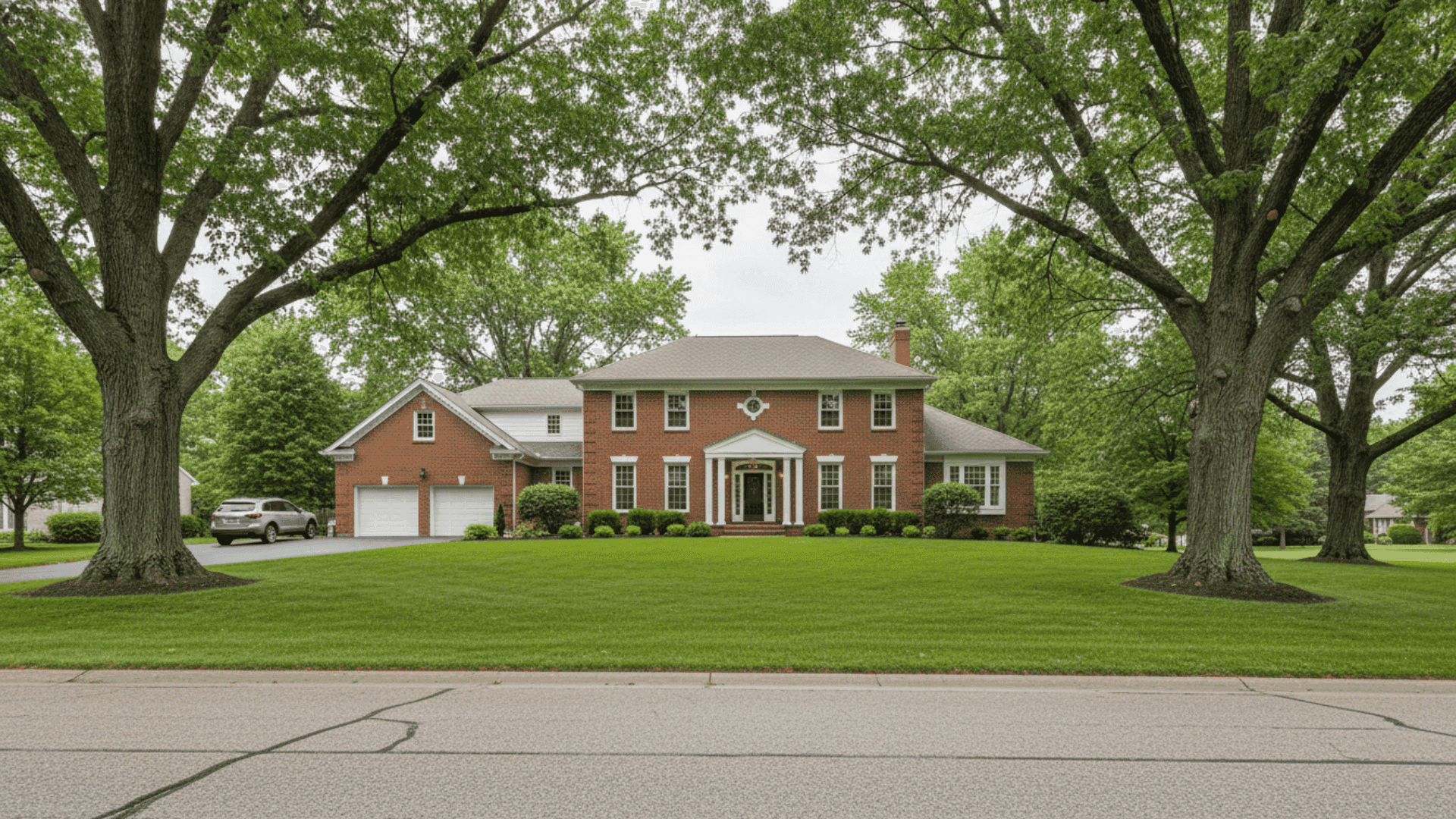 Tree service in Clarence NY