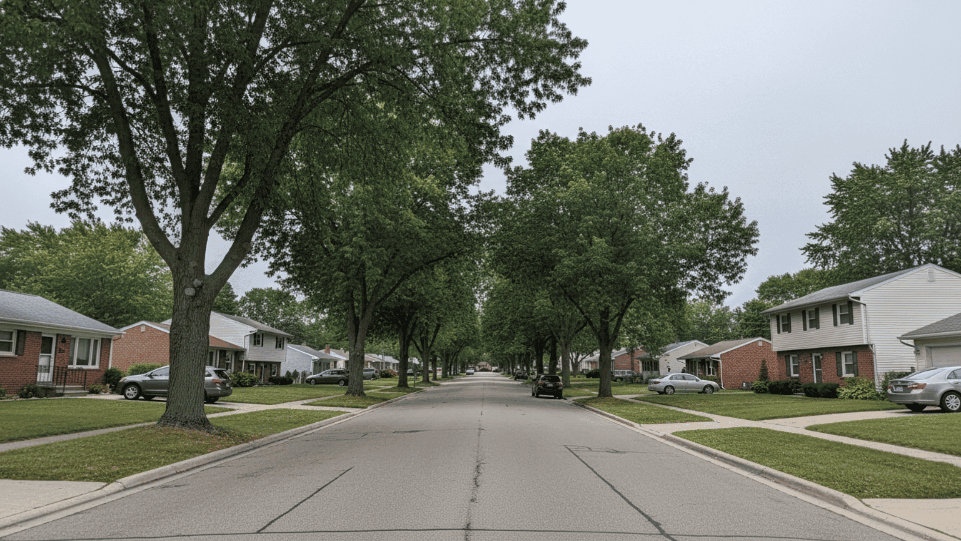 Tree service in Depew NY