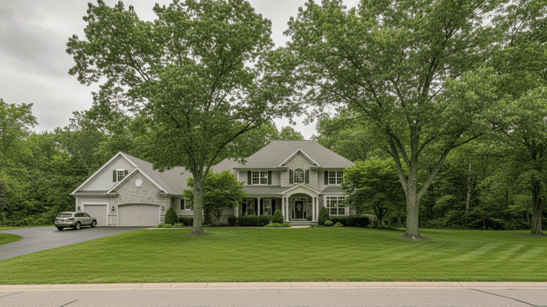 Tree service in East Amherst NY