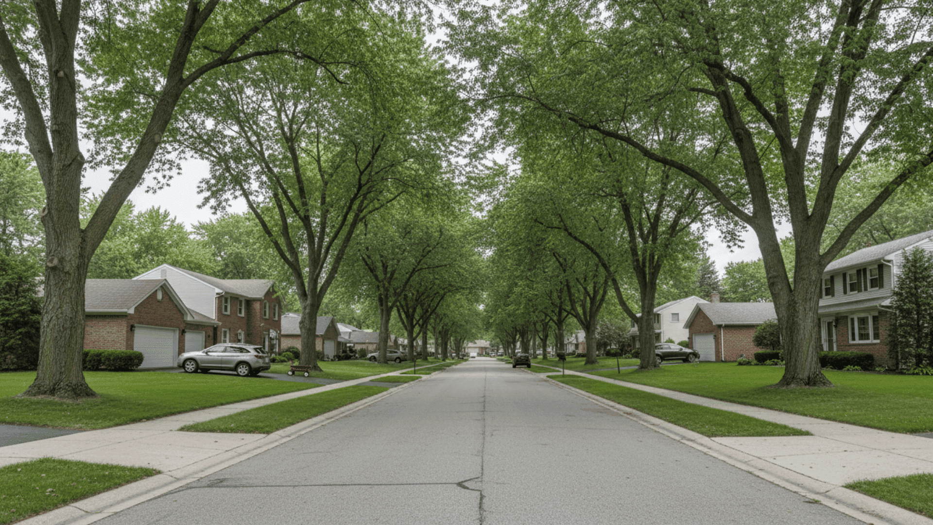 Tree service in Grand Island NY