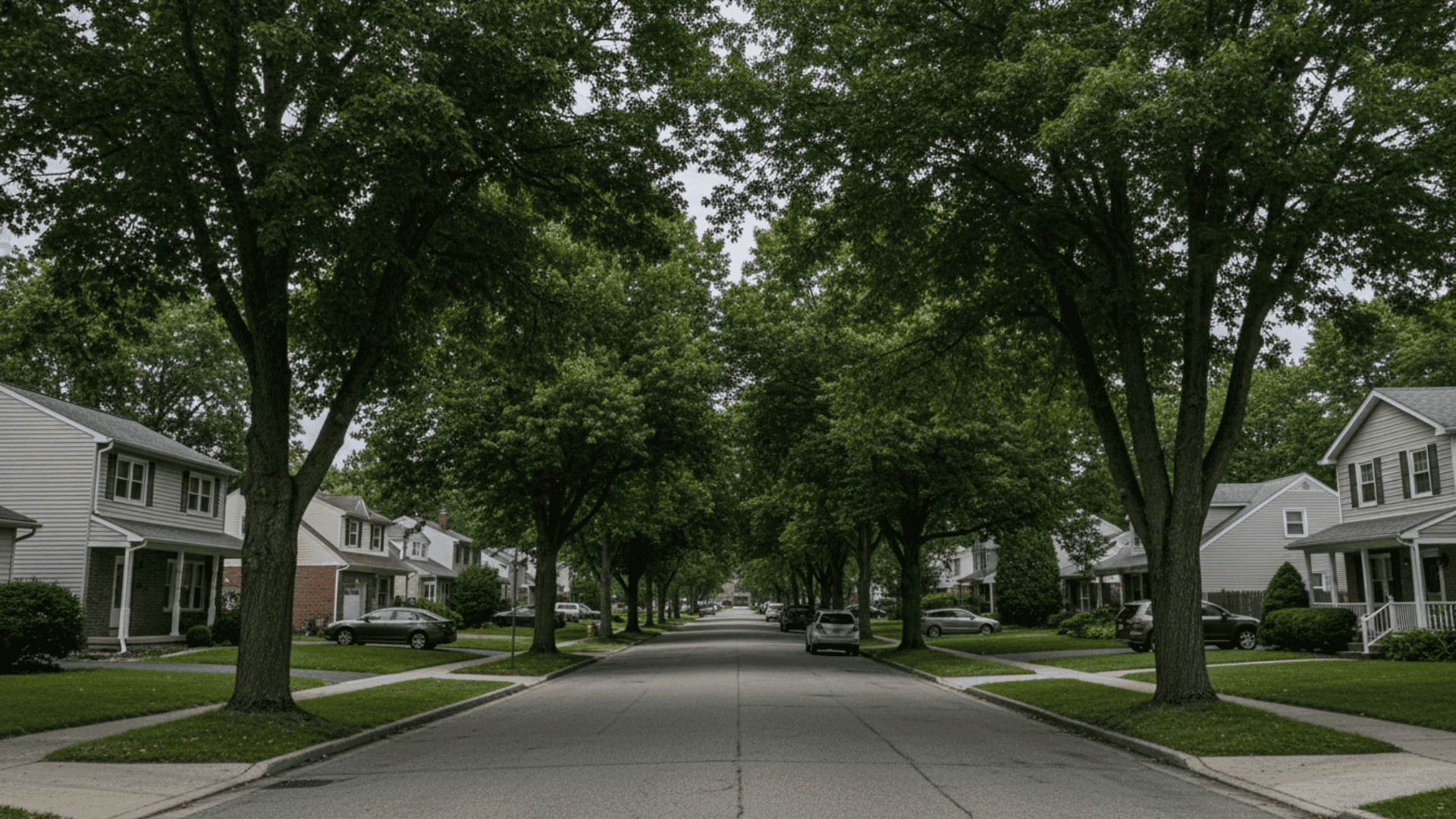 Tree service in Hamburg NY