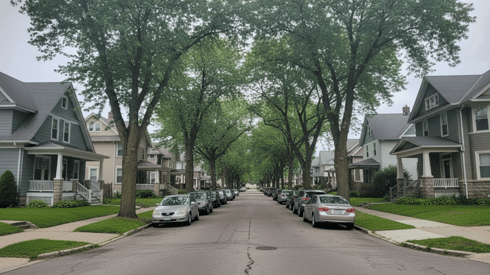 Tree service in Kenmore NY