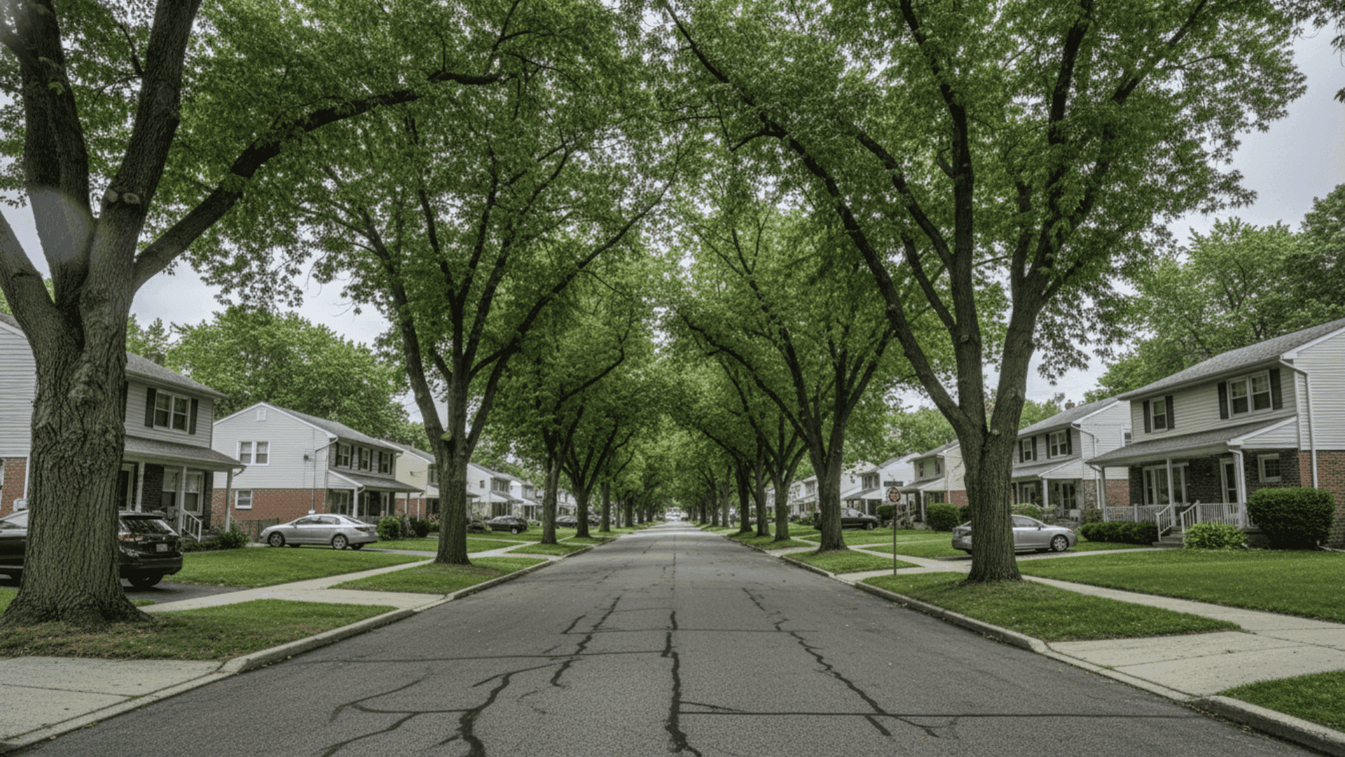 Tree service in Niagara Falls NY