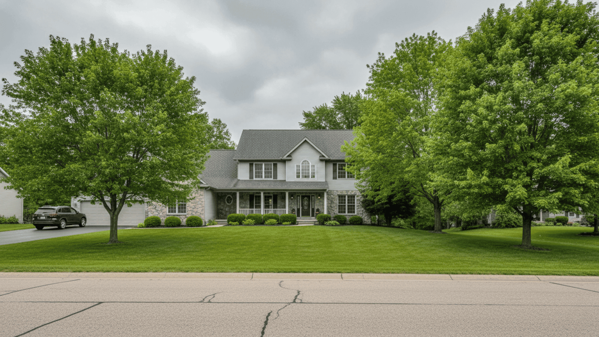 Tree service in Orchard Park NY