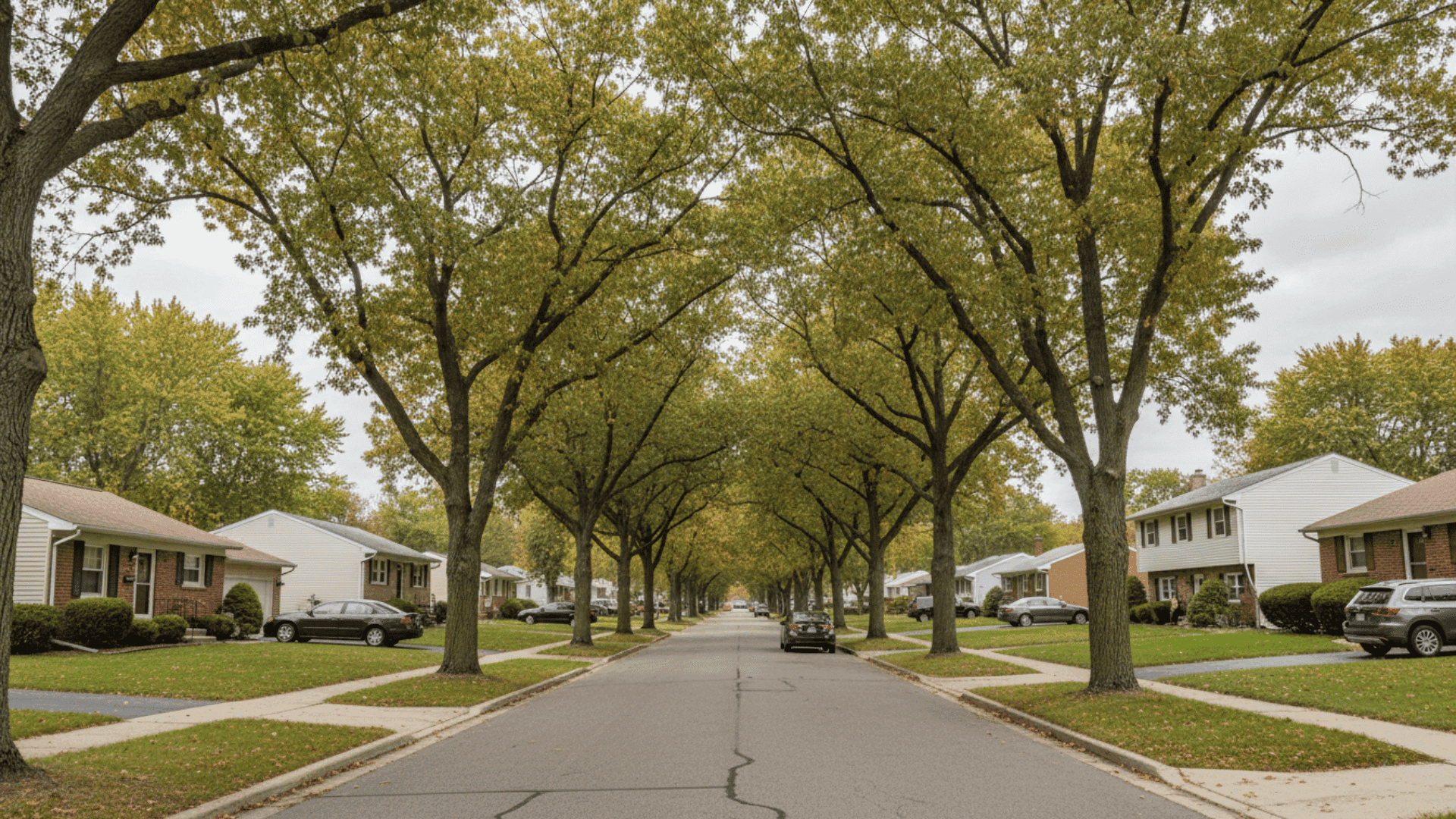 Tree service in Tonawanda NY