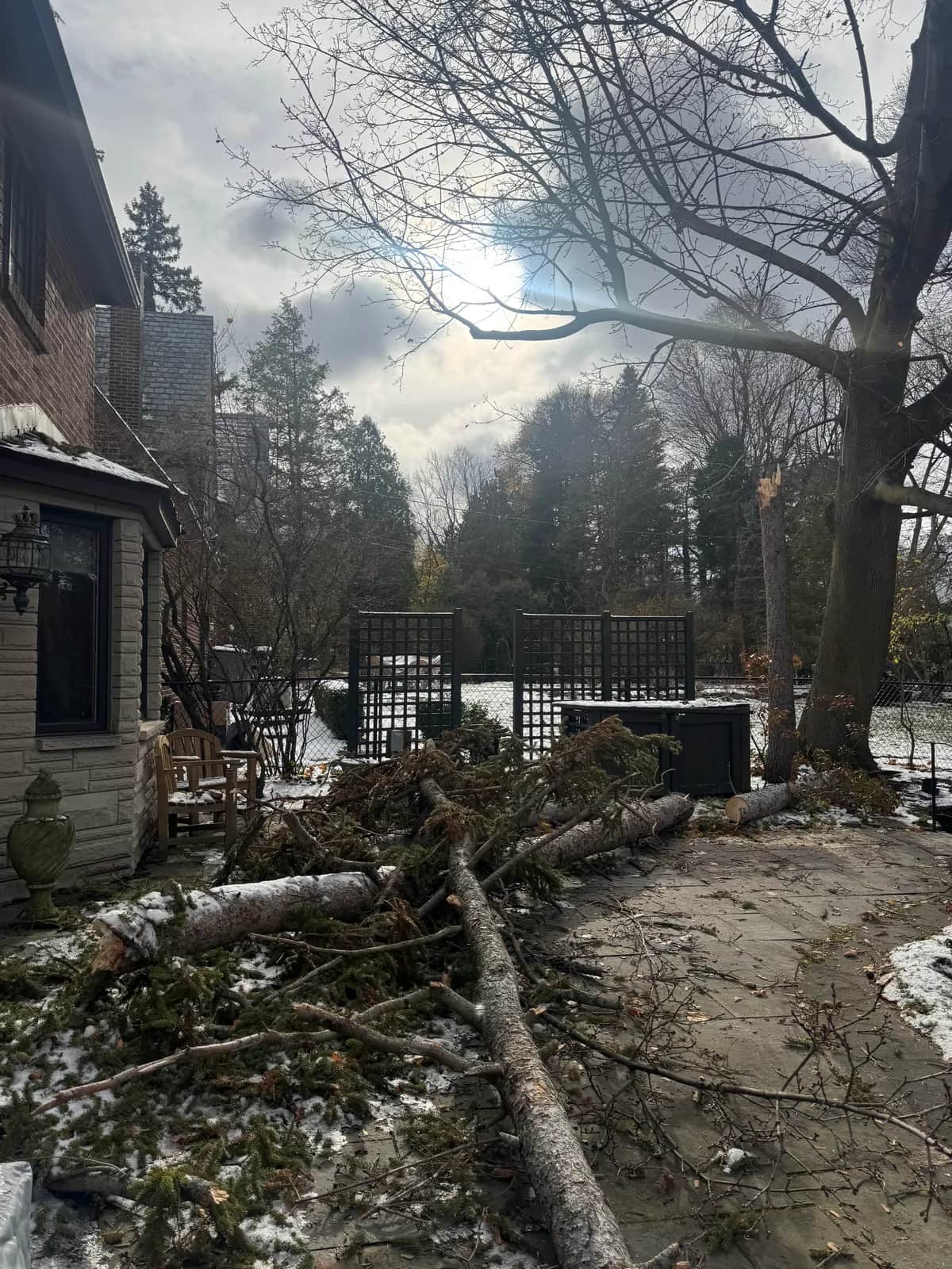 Lot Clearing Residential project in Buffalo NY