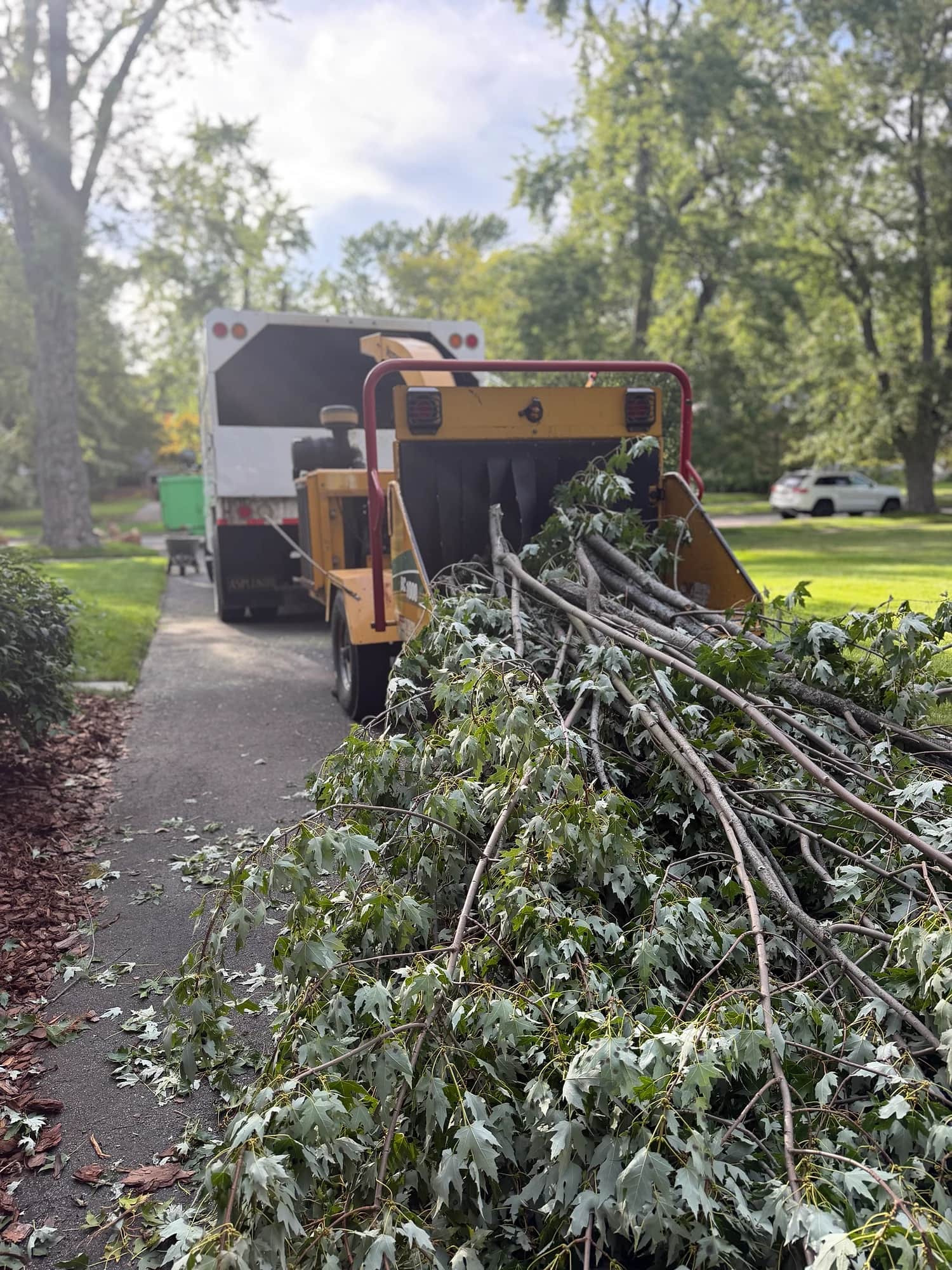 Wood chipper debris cleanup Buffalo NY