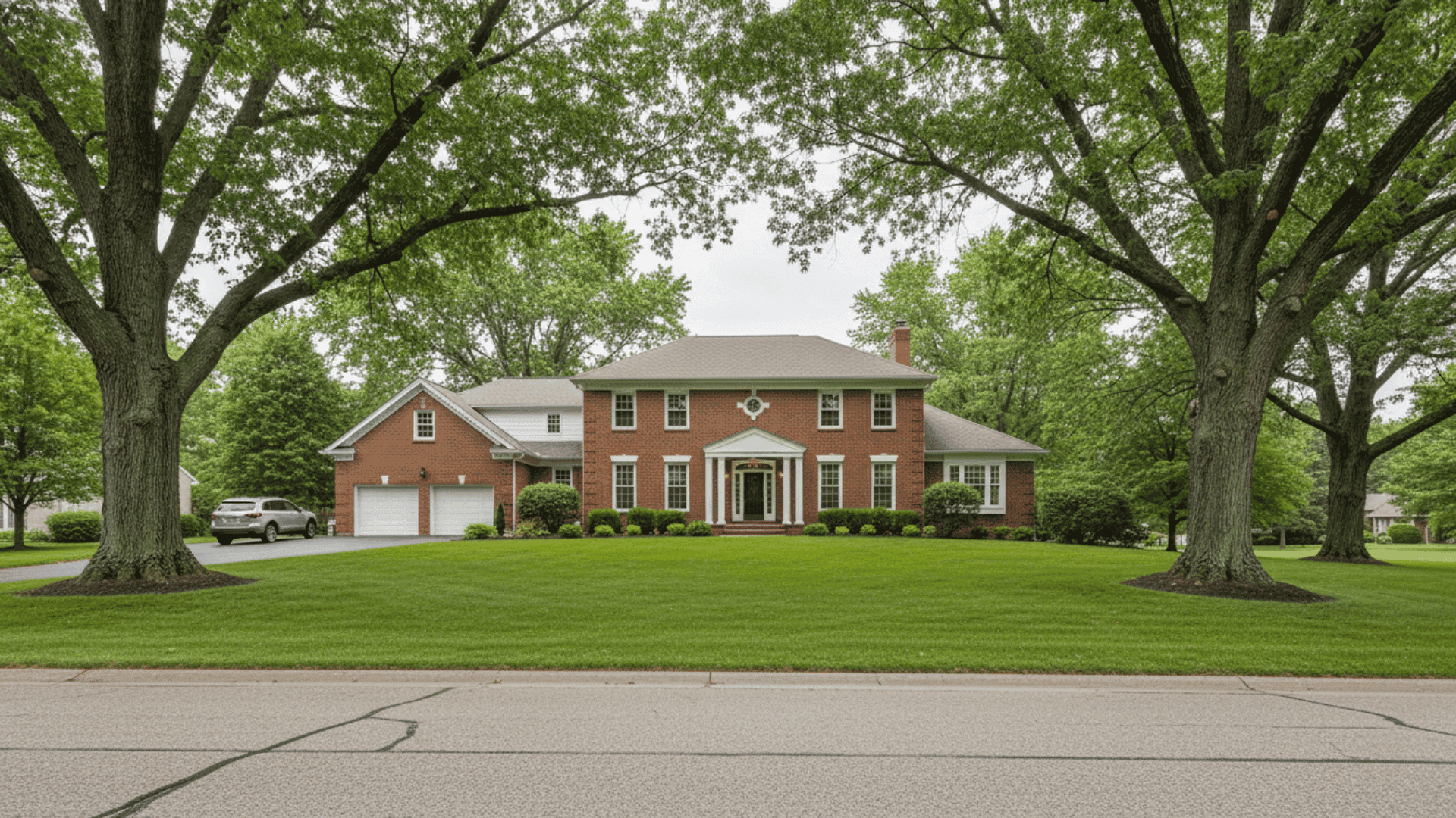 Tree service in Clarence NY