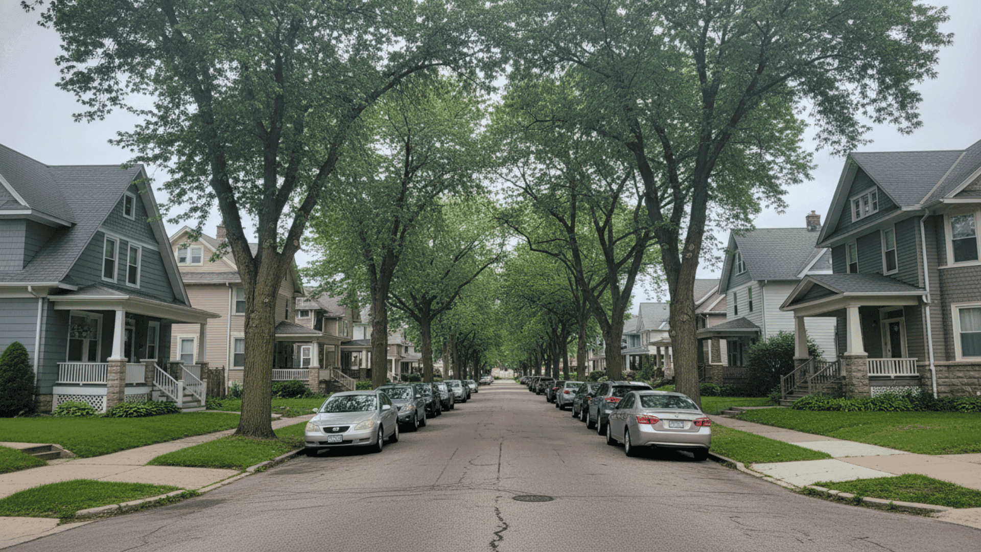 Tree service in Kenmore NY