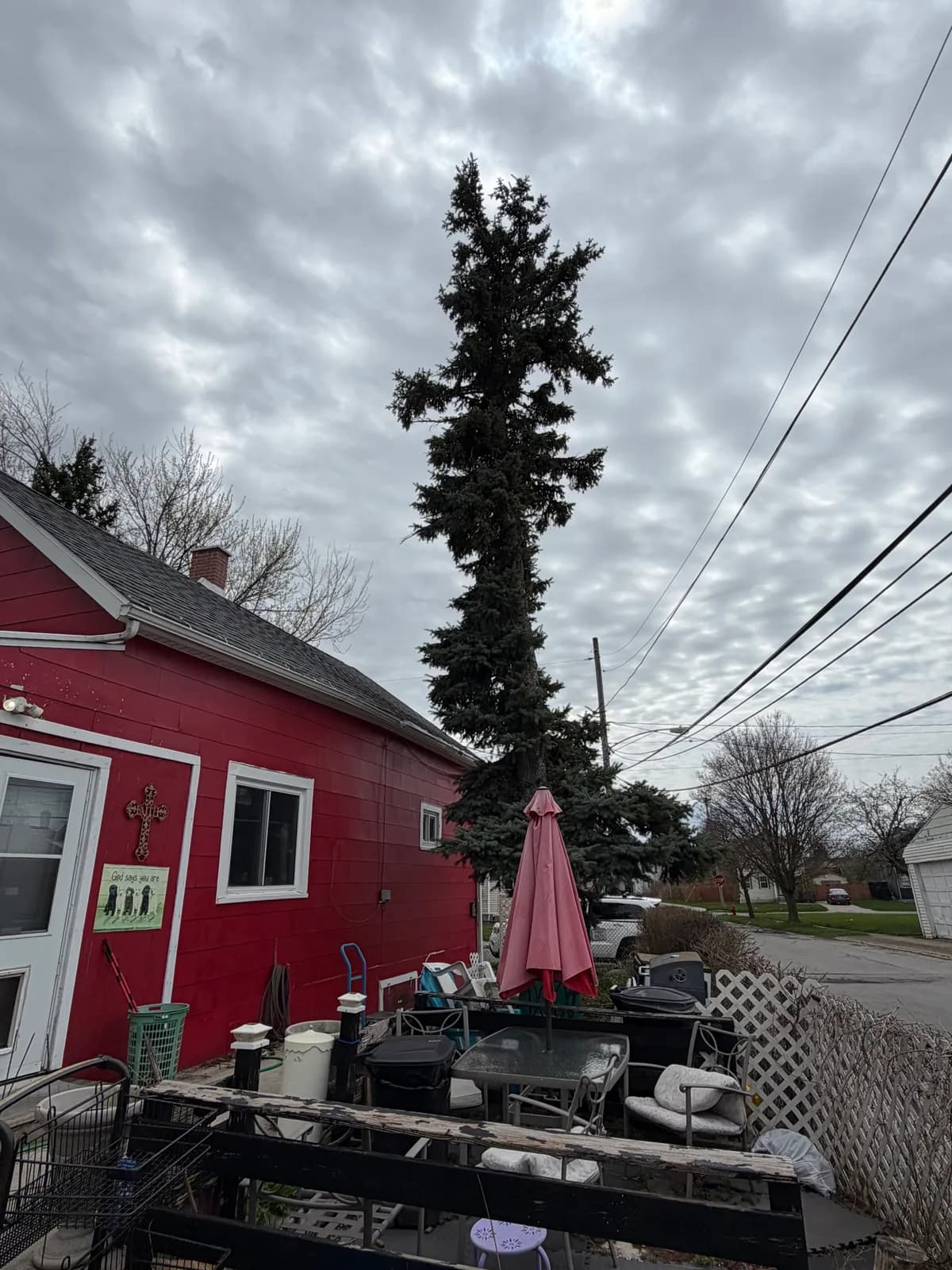 winter tree removal buffalo Buffalo NY
