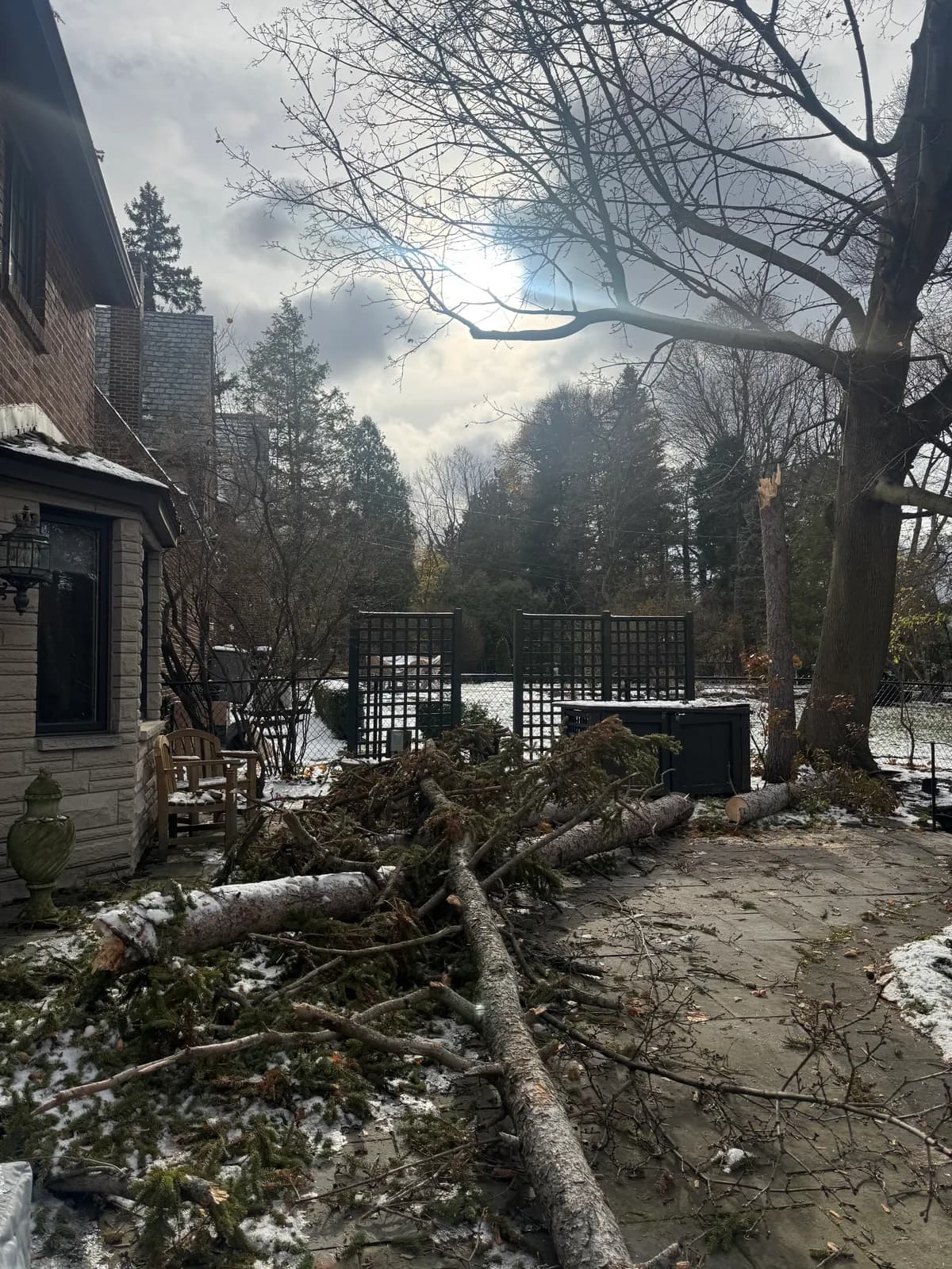 Lot Clearing Residential project in Buffalo NY