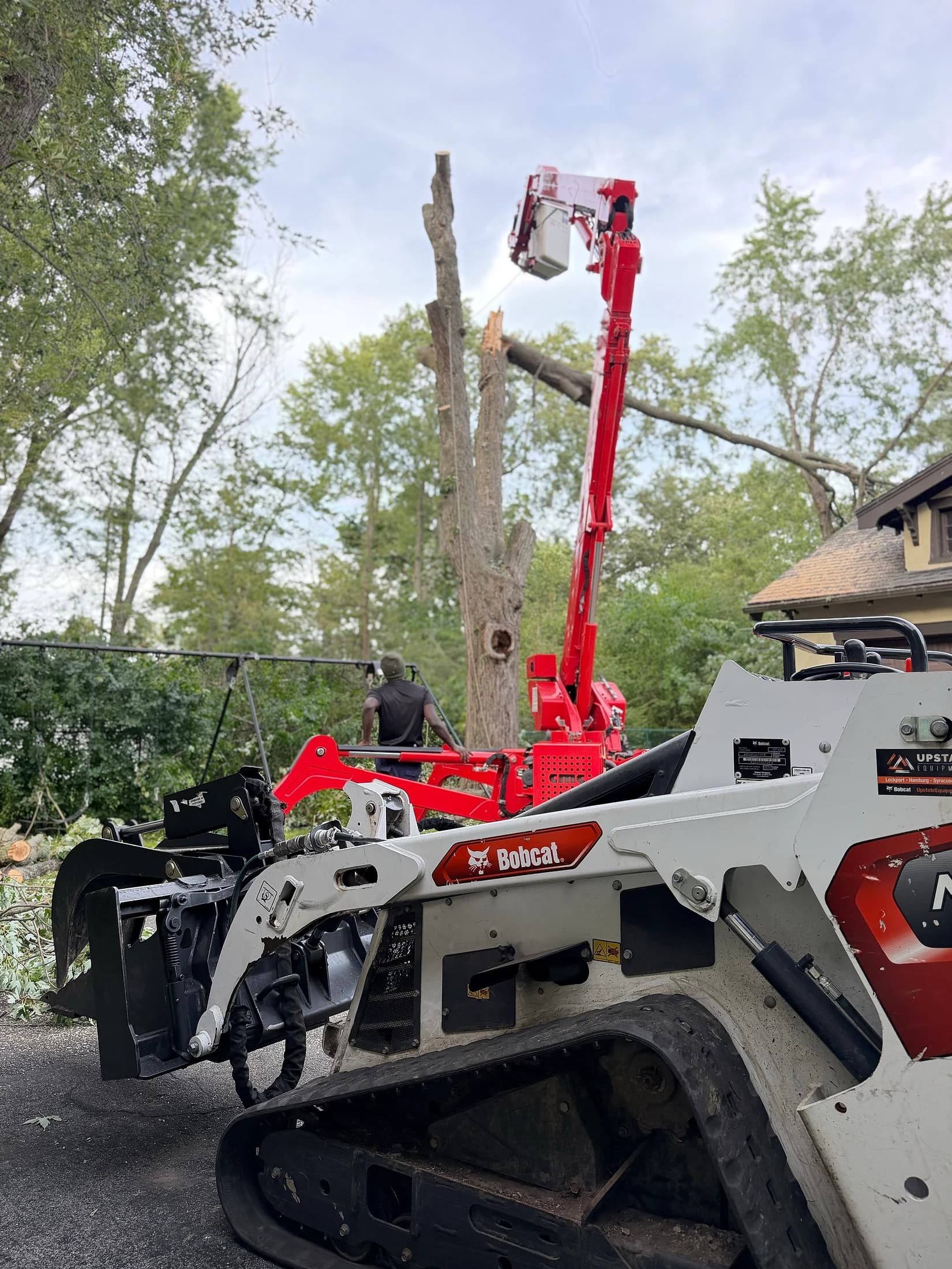 Tree removal in Buffalo NY — spider lift and Bobcat staged for residential removal