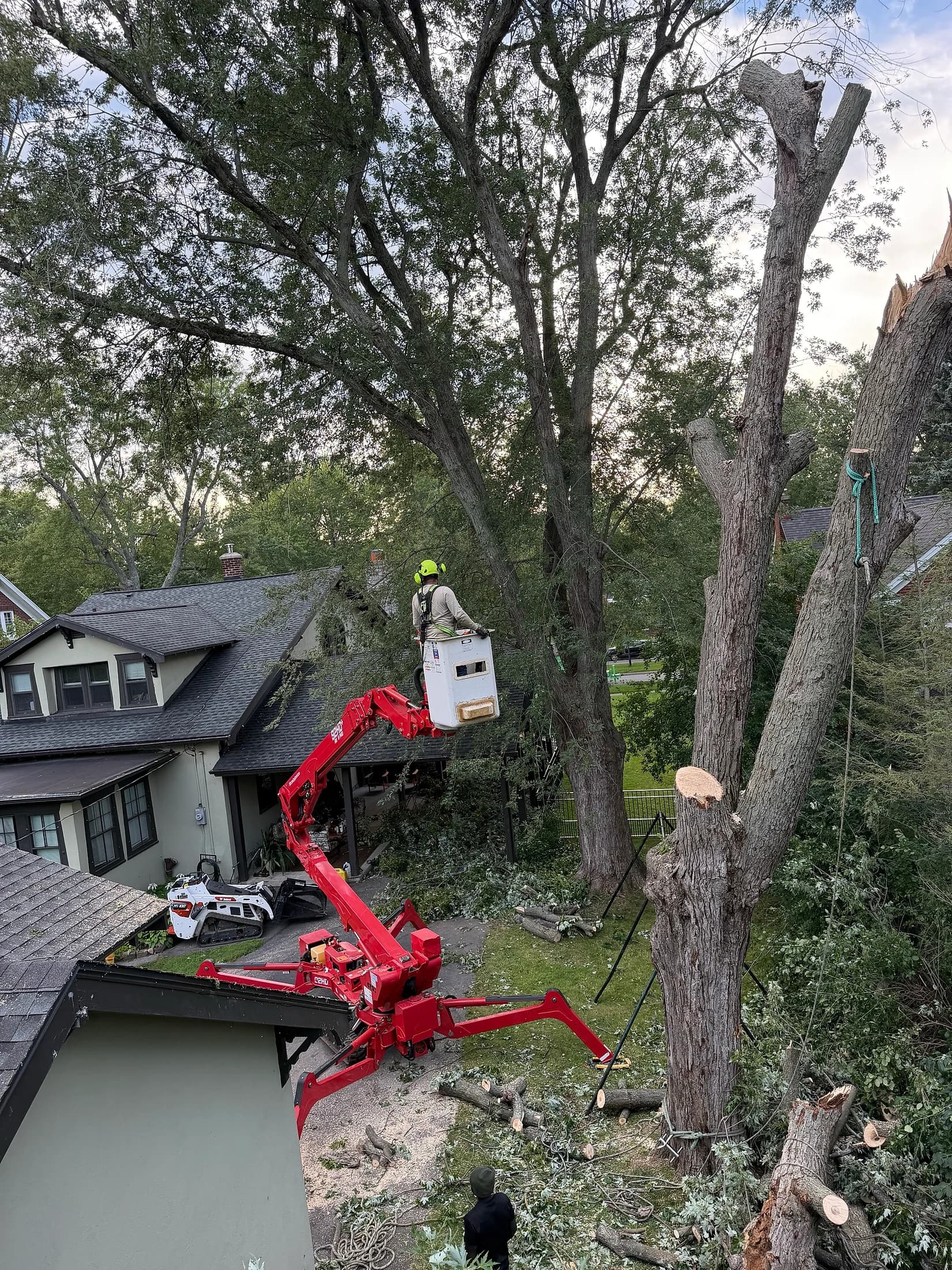 Professional tree service in buffalo crew in Western New York