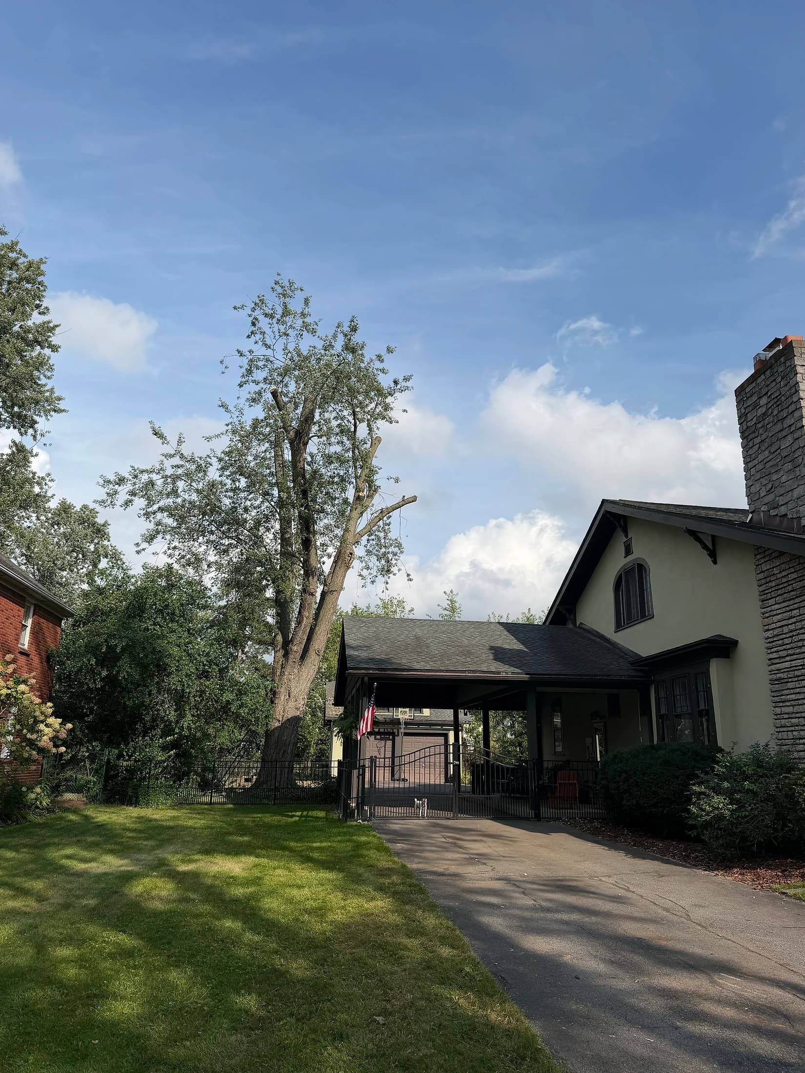 Tree service project in Buffalo, NY
