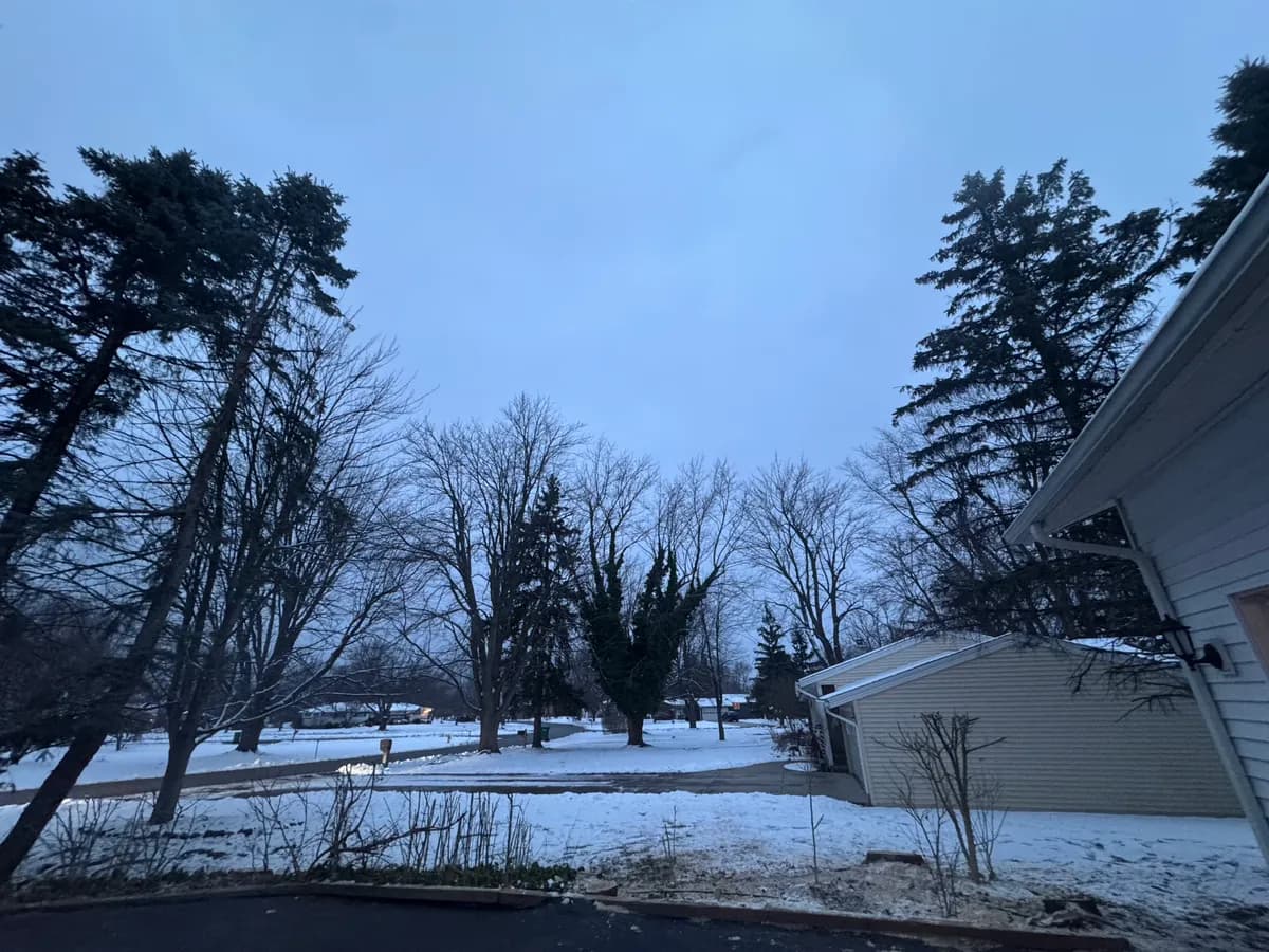 Tree Removal Tight Access project in Buffalo NY