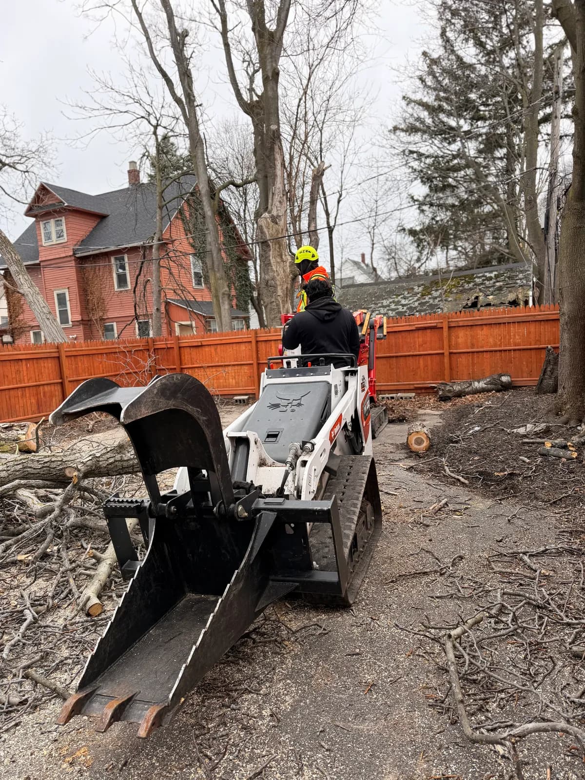 Tree service project in Orchard Park, NY