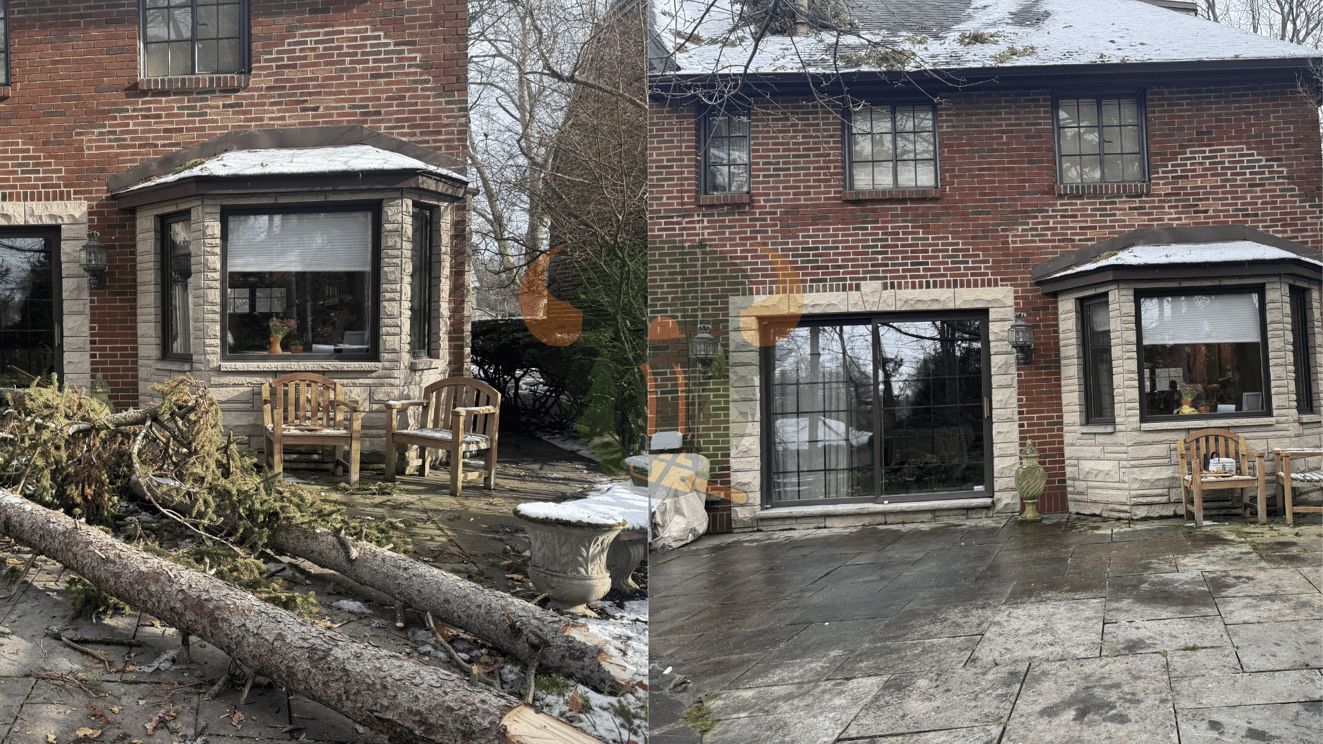 Emergency tree service in Buffalo NY