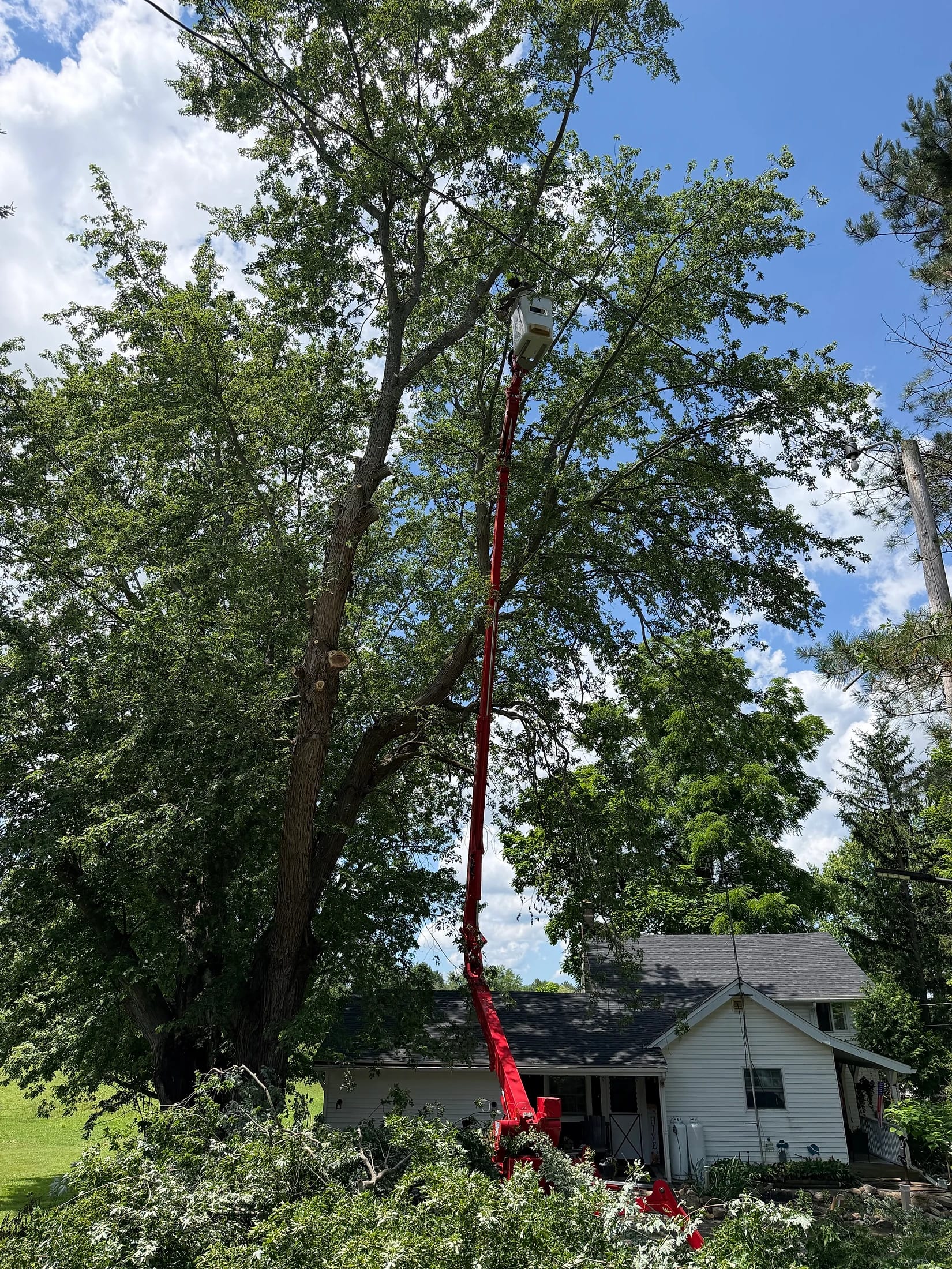 Tree removal in Buffalo NY — licensed crew with bucket truck on a residential job
