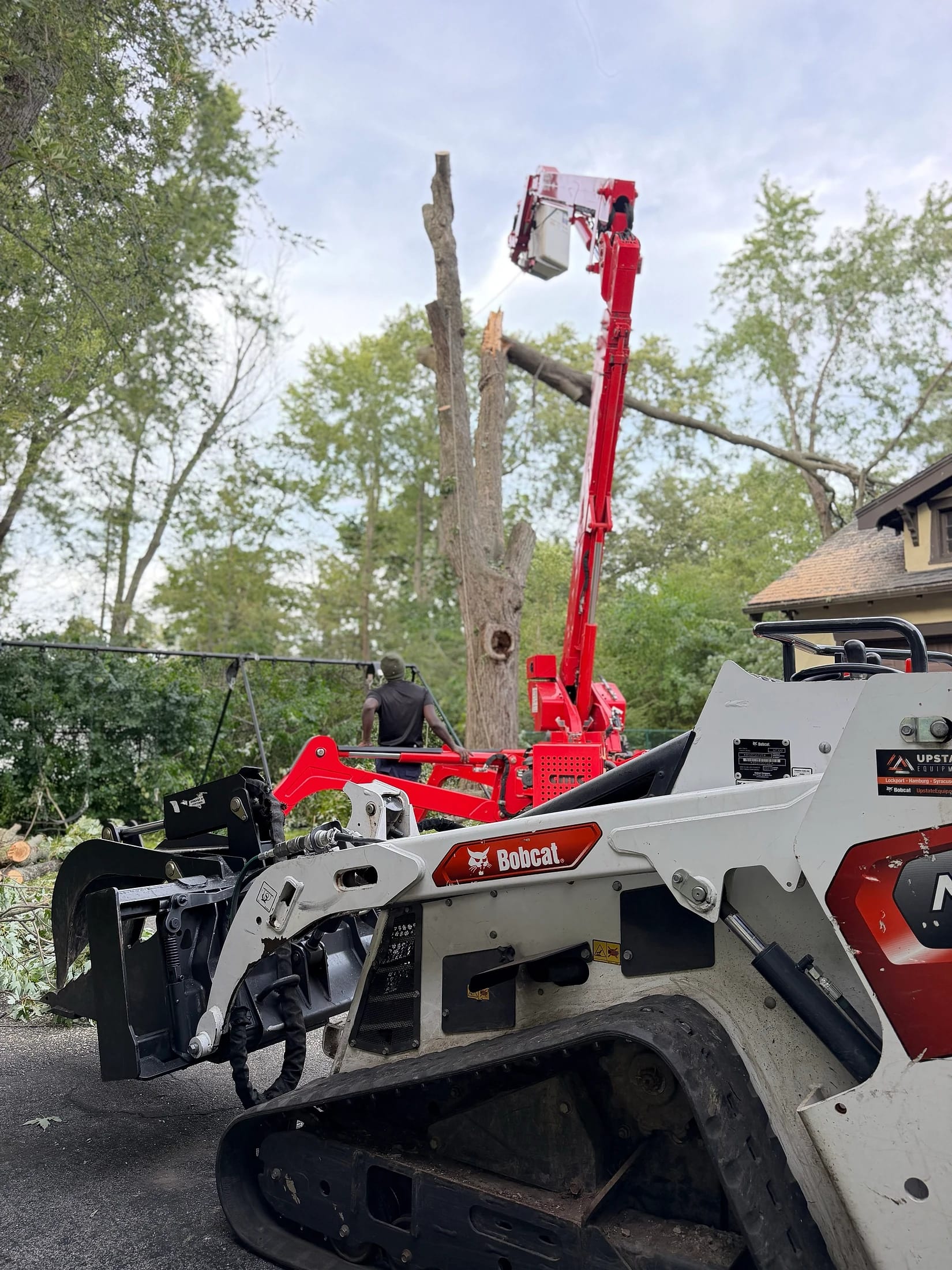 Spider lift and Bobcat tree removal Buffalo NY