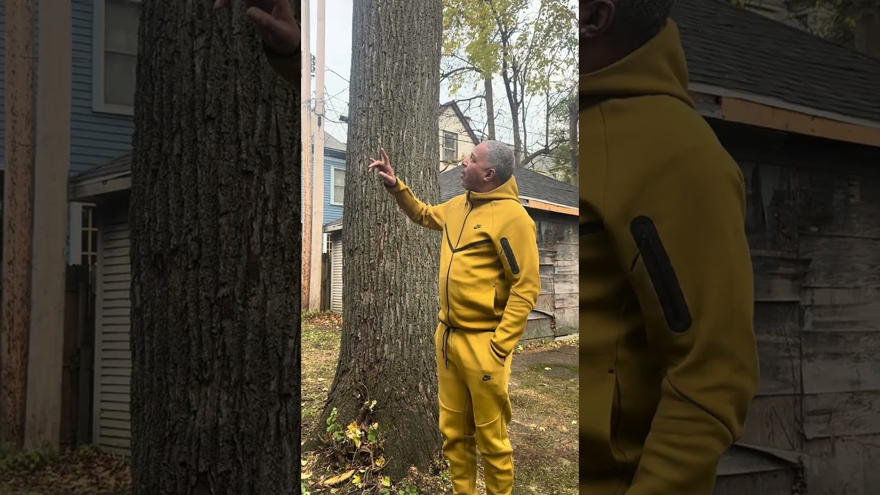 Video testimonial: Tree Care Customer Feedback