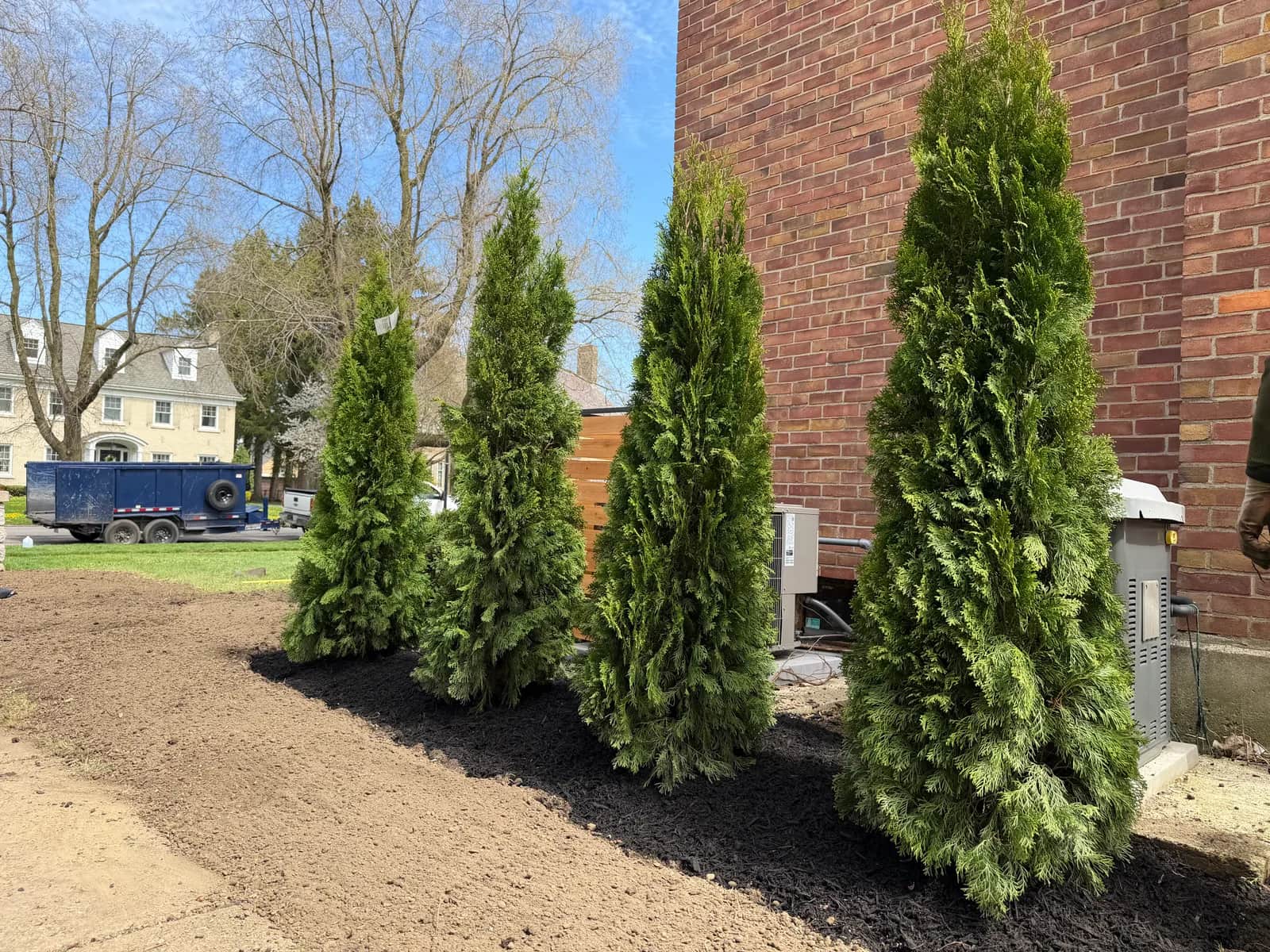 Best Time of Year to Remove a Tree in Buffalo NY
