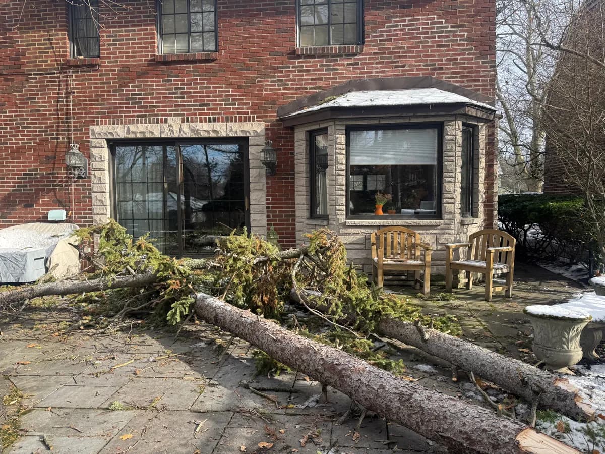 tree collapse winter risk Buffalo NY