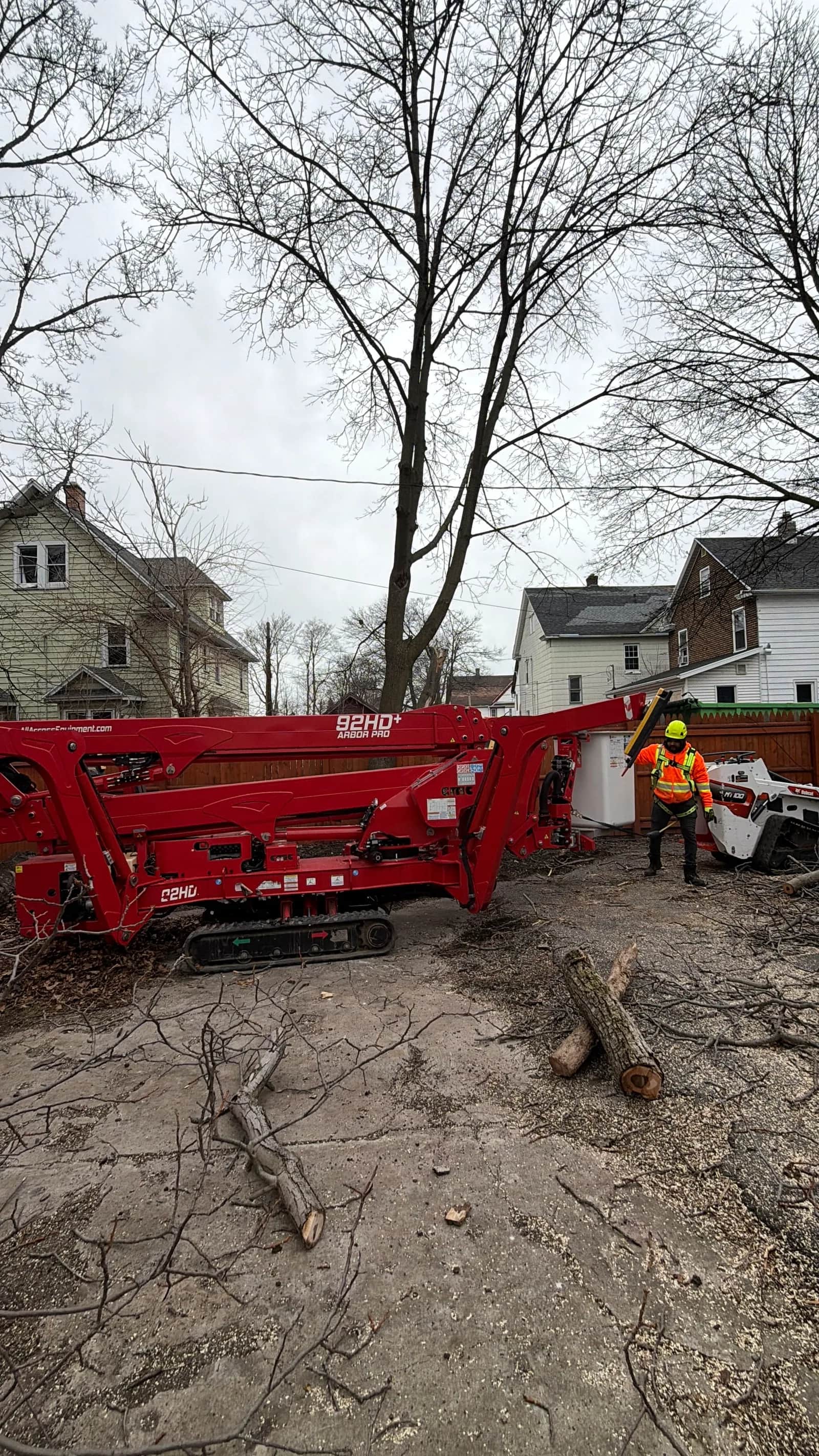 7 Signs a Tree Needs to Be Removed