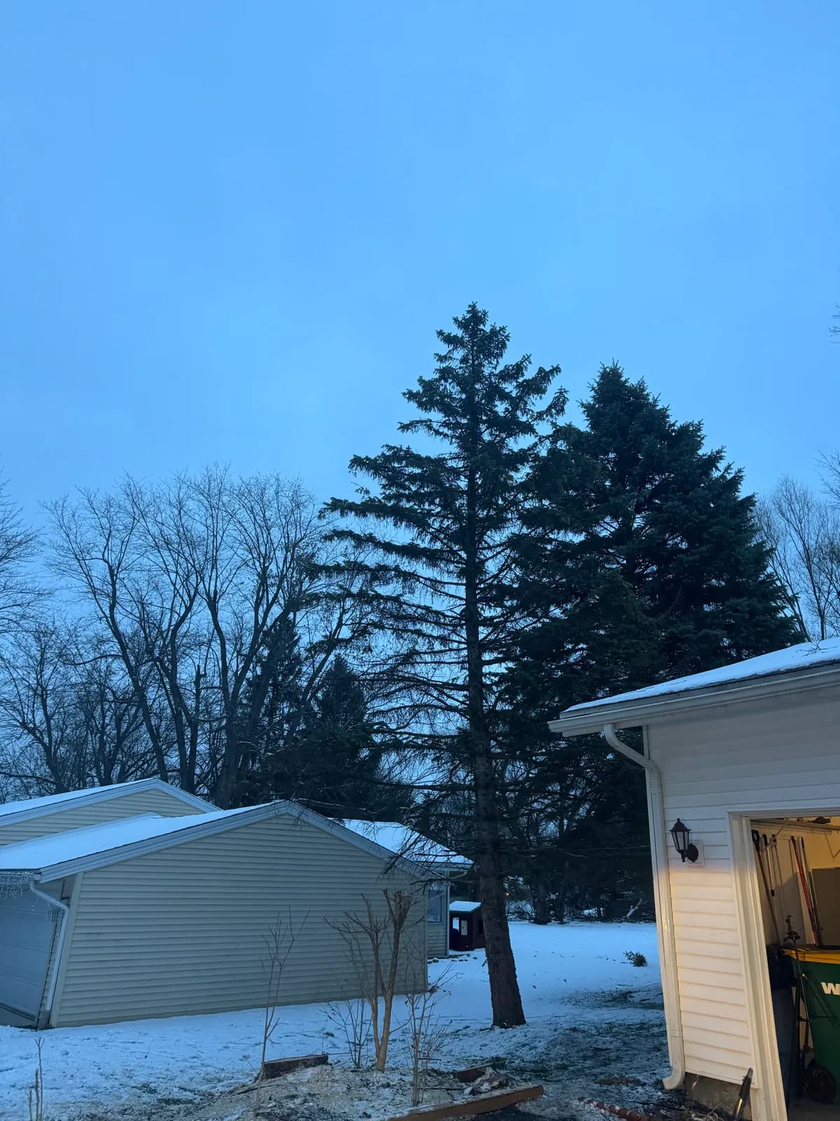 ice storm tree damage buffalo Buffalo NY