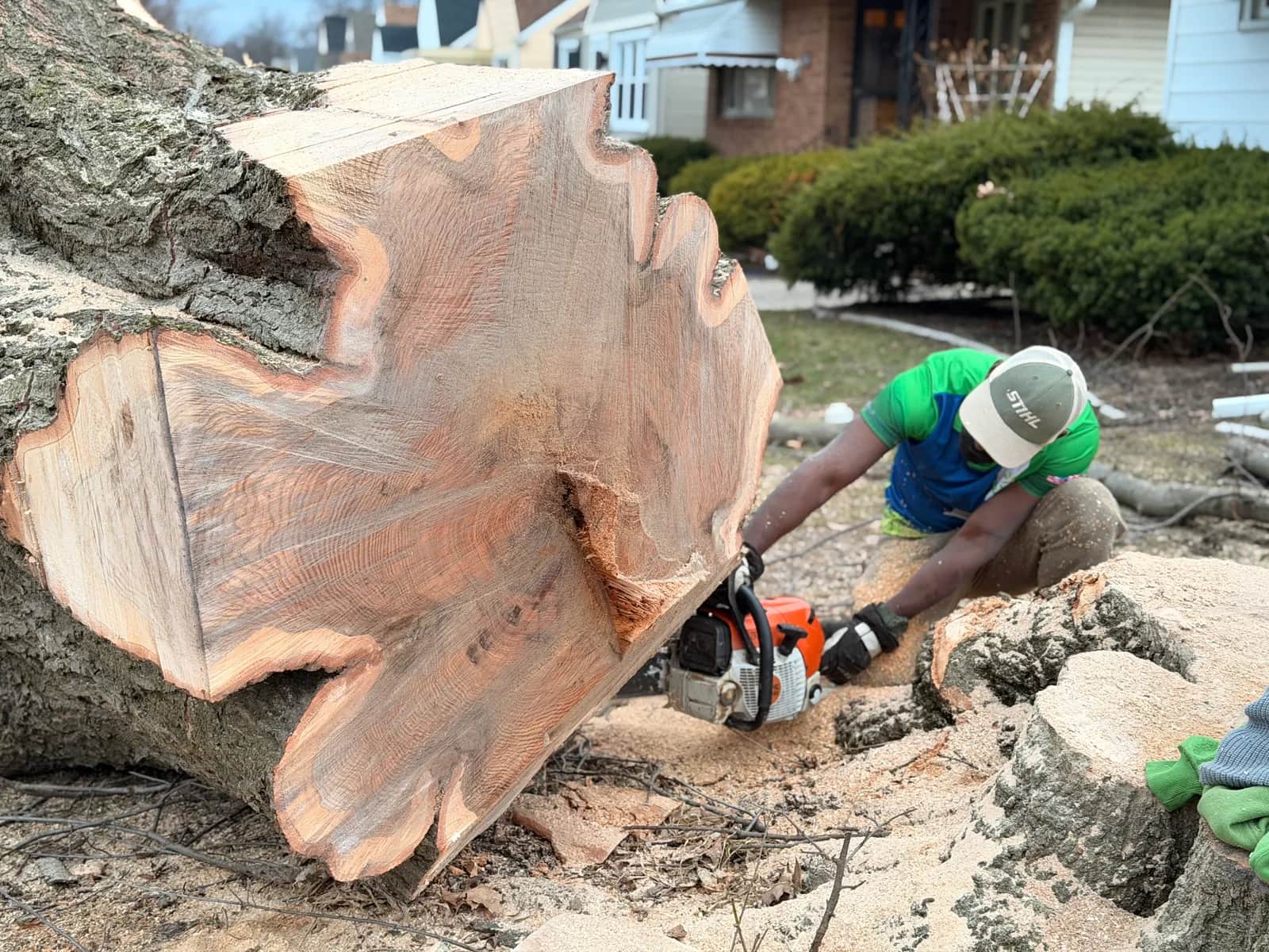 Storm Damage Tree Removal in Buffalo NY: What to Do