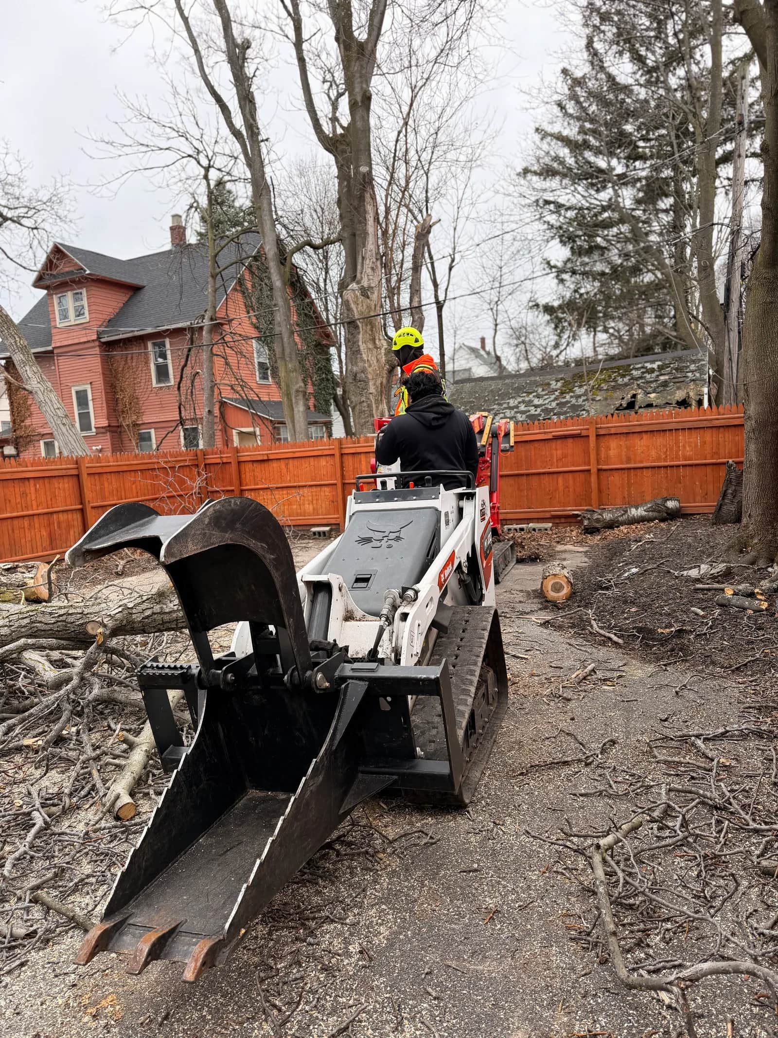Stump Grinding Cost in Buffalo NY: What to Expect