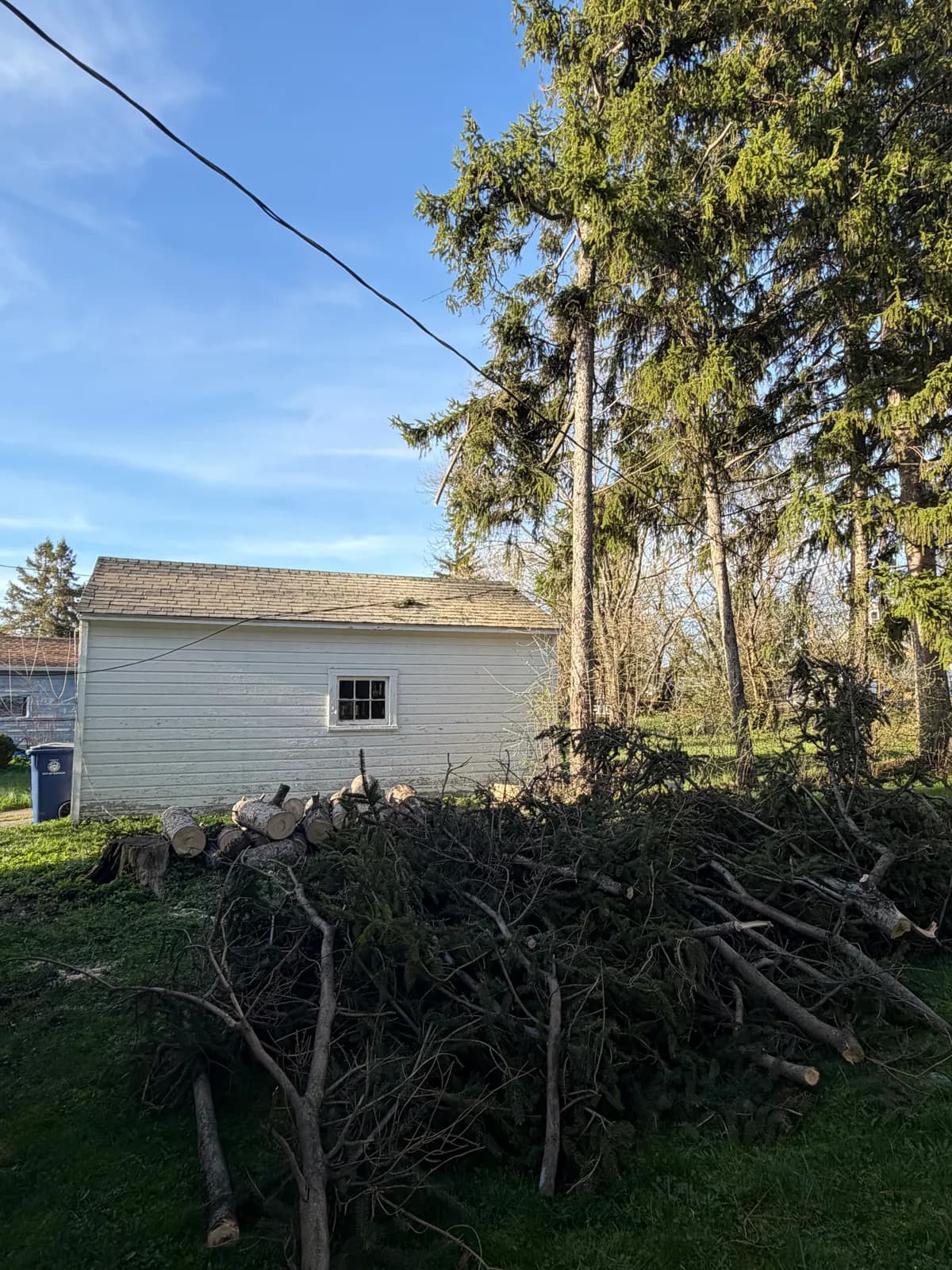tree distance house safety buffalo Buffalo NY