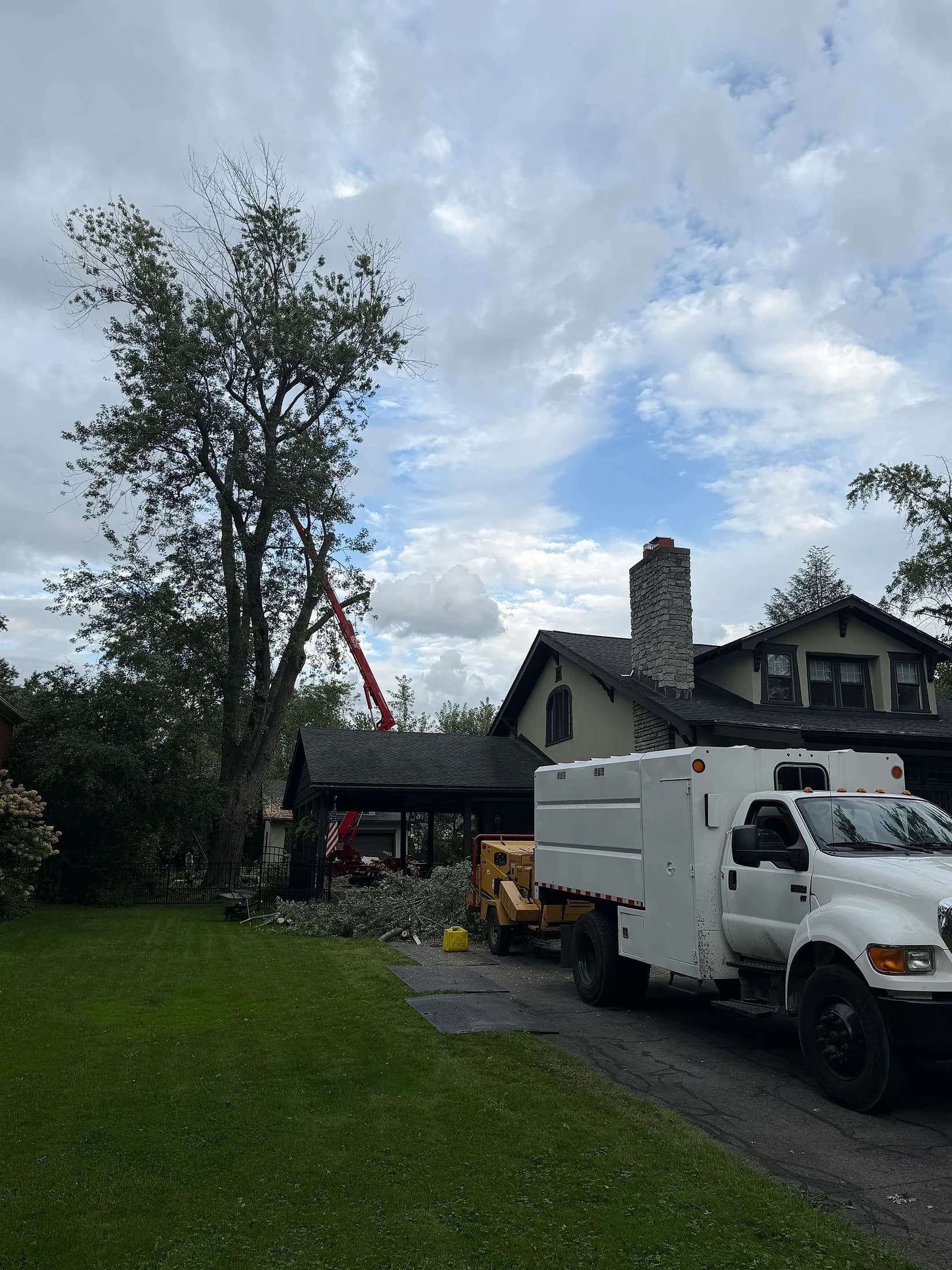 Professional tree service in west seneca crew in Western New York
